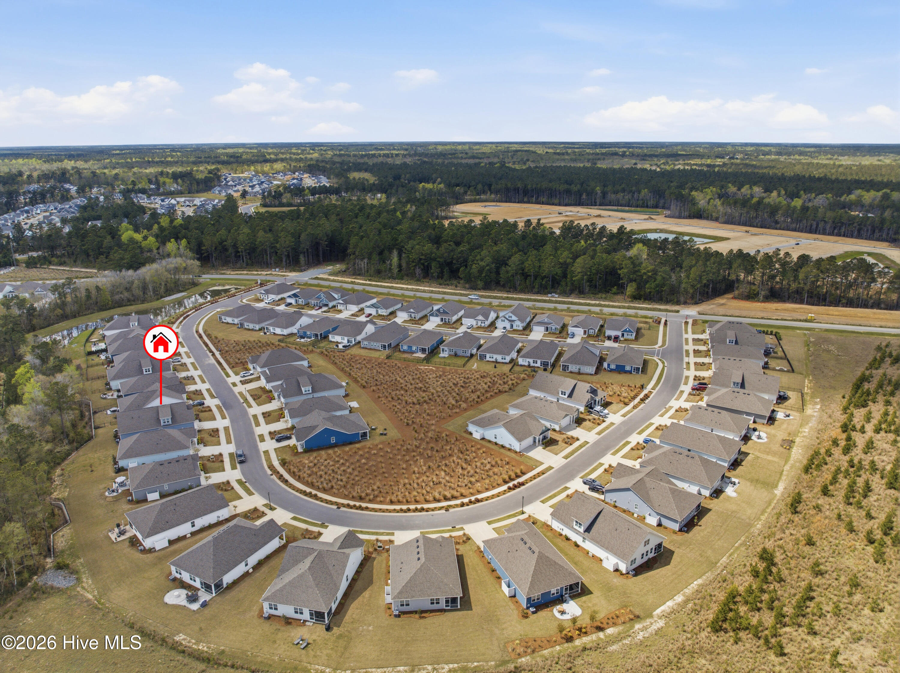 100564310 | Photo 64