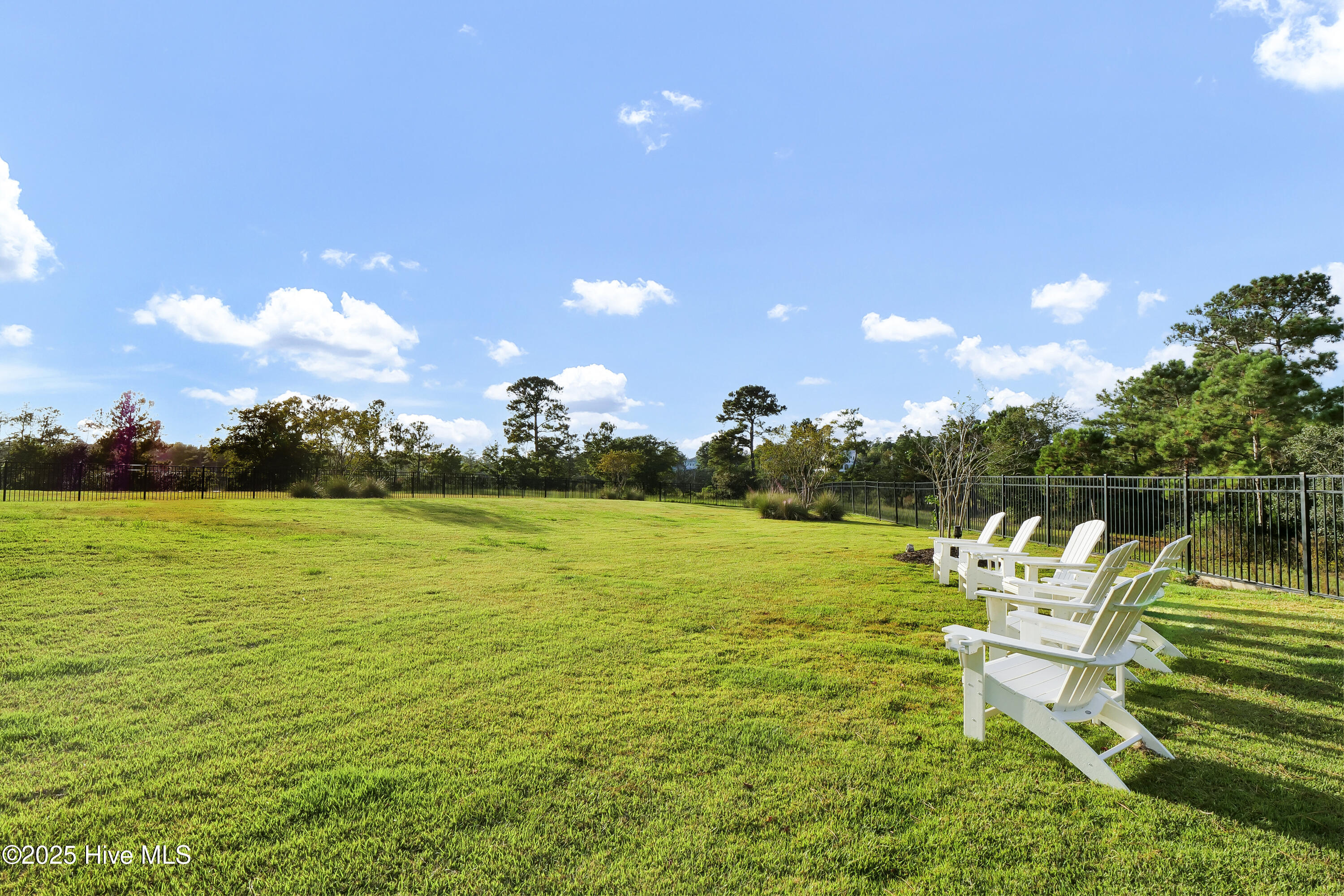 100534317 | Photo 58