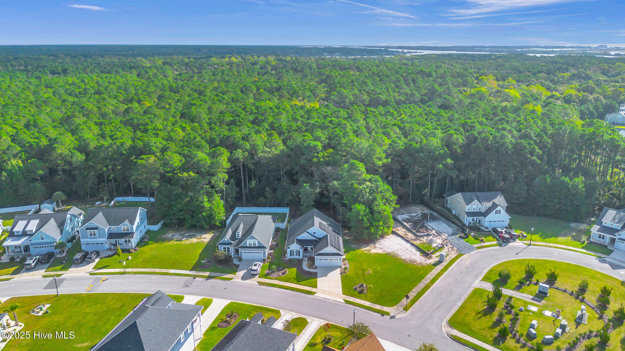 100535117 | Photo 56