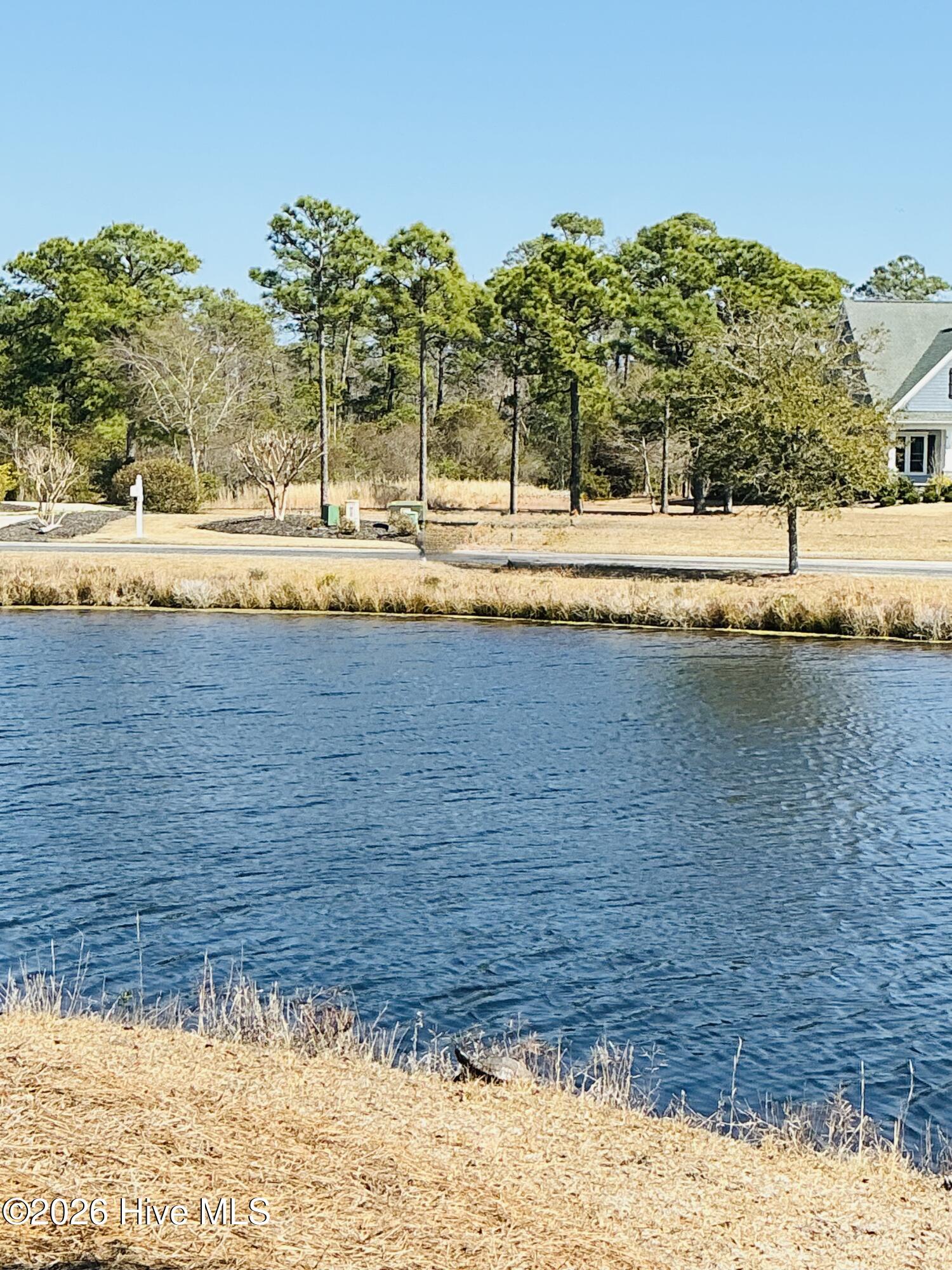 100558707 | Photo 21