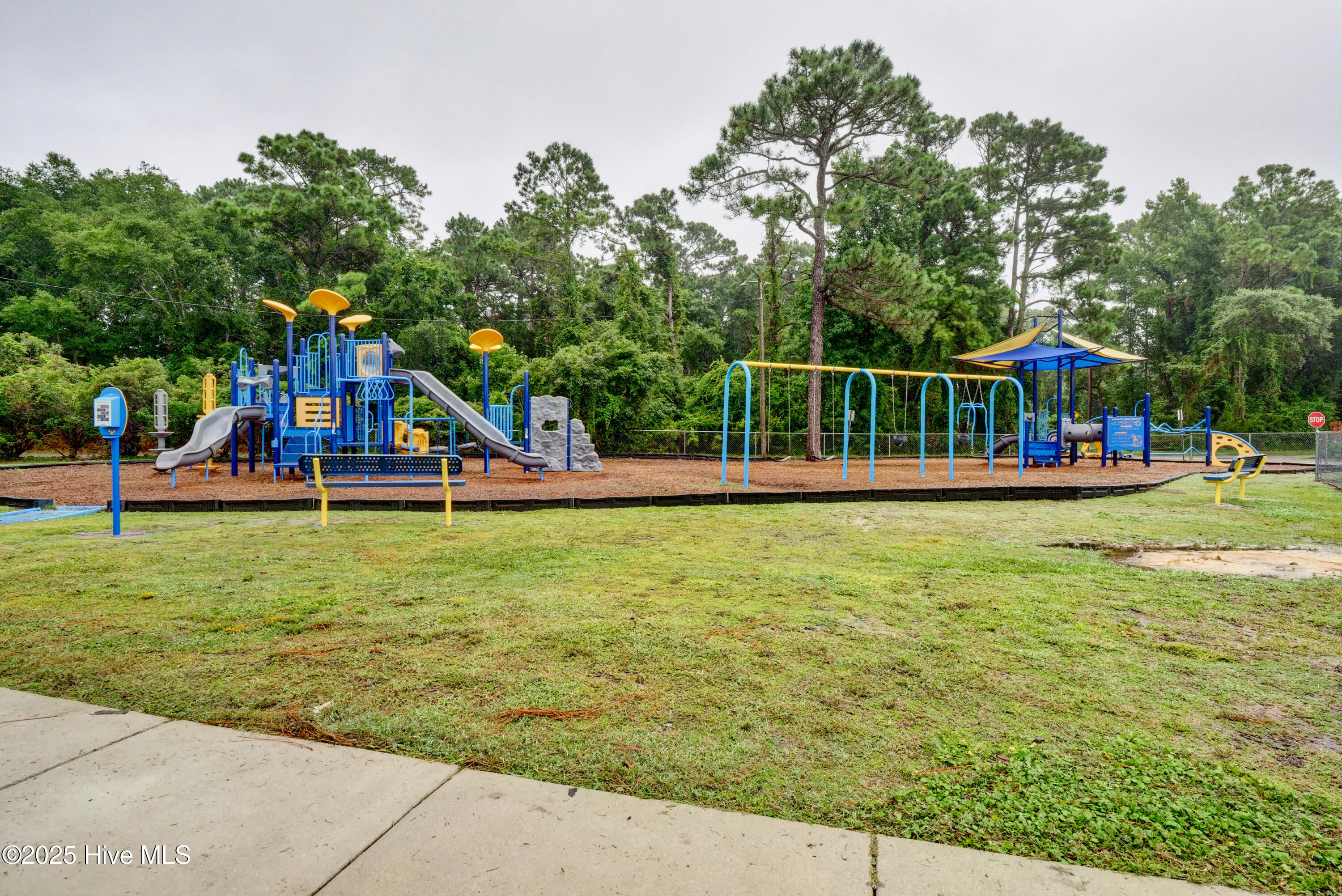 100545866 | Photo 51