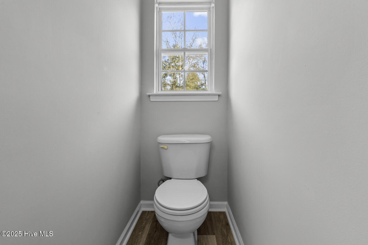 100541335 | Photo 24