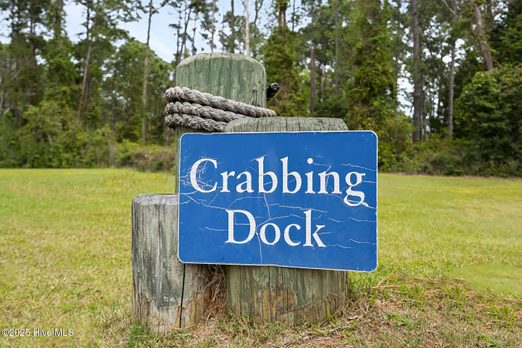 100537357 | Photo 53