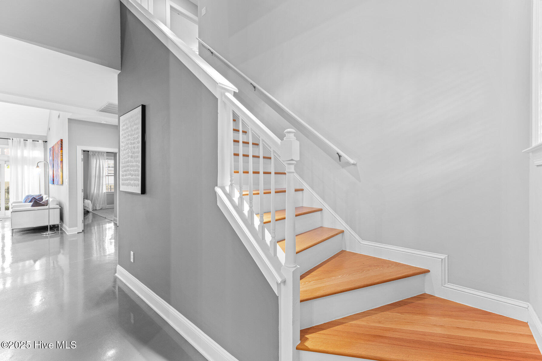 100532404 | Photo 15