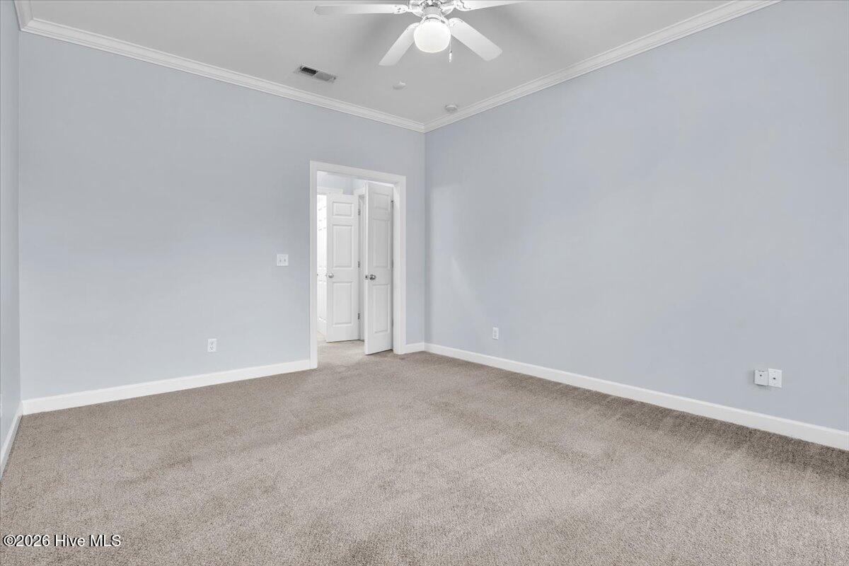 100547572 | Photo 36