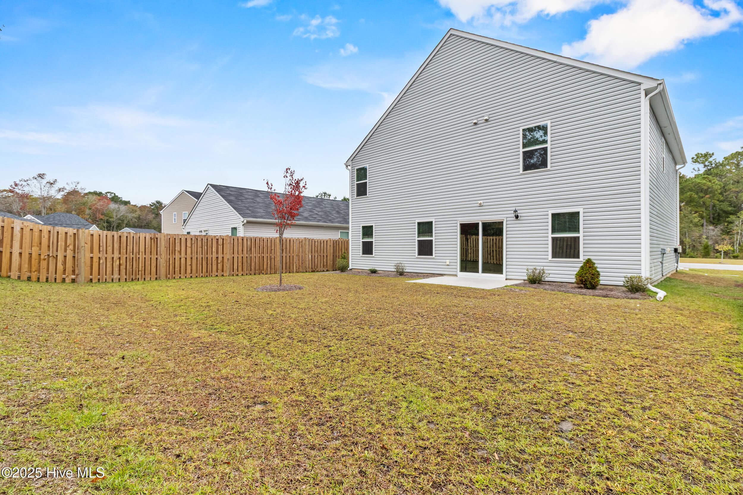 100538946 | Photo 41