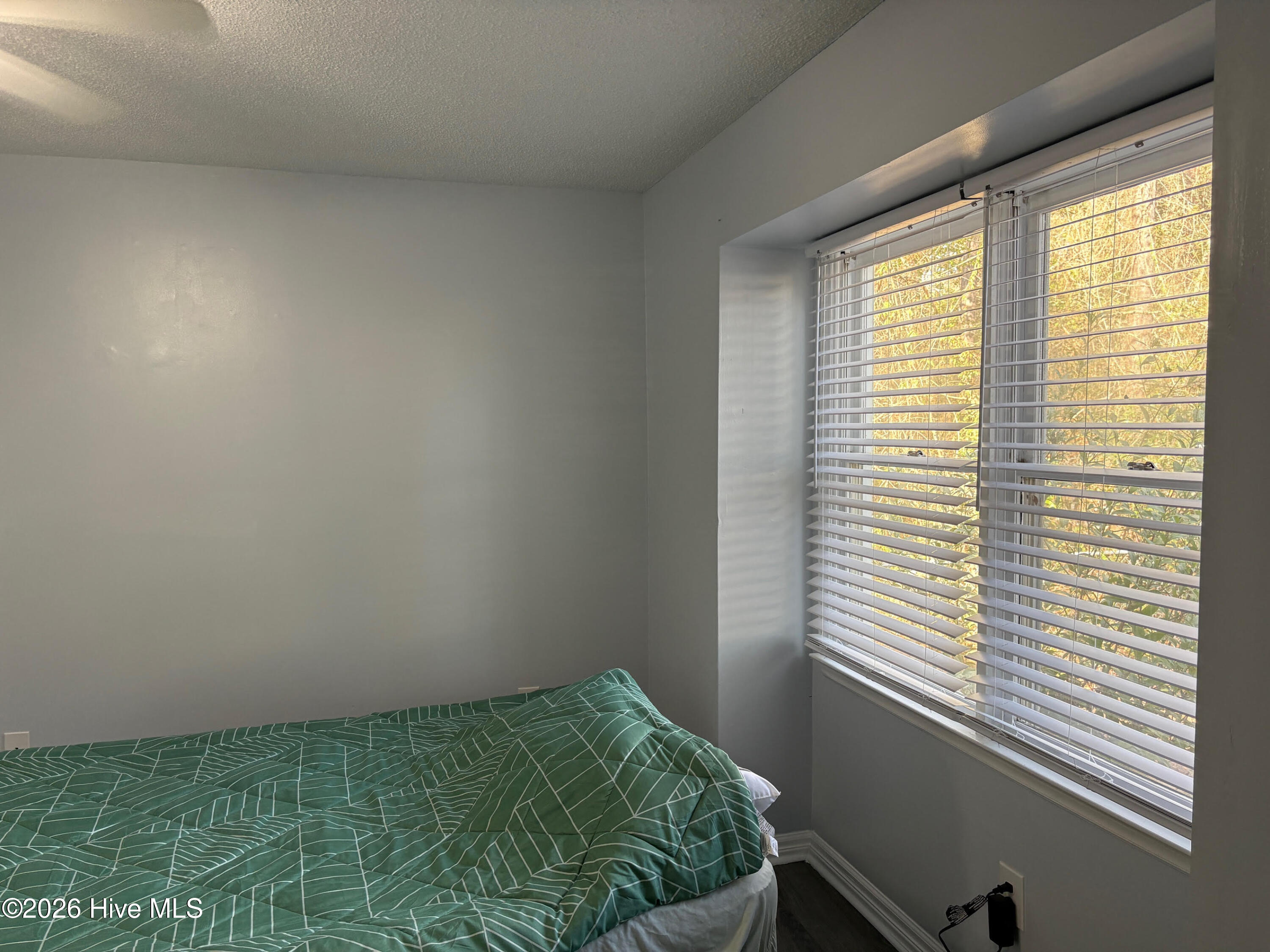 100557287 | Photo 29