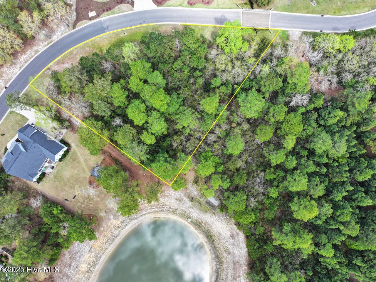 100501196 | Photo 10