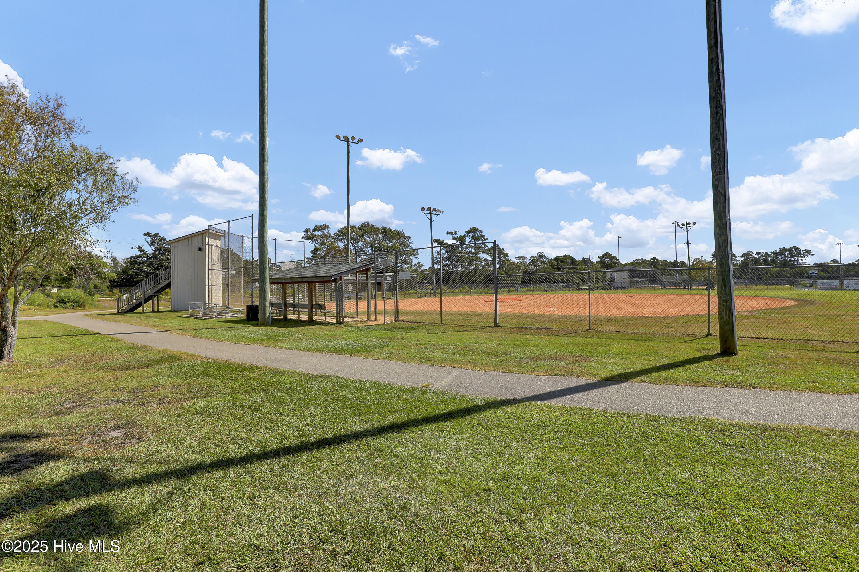 100536758 | Photo 51