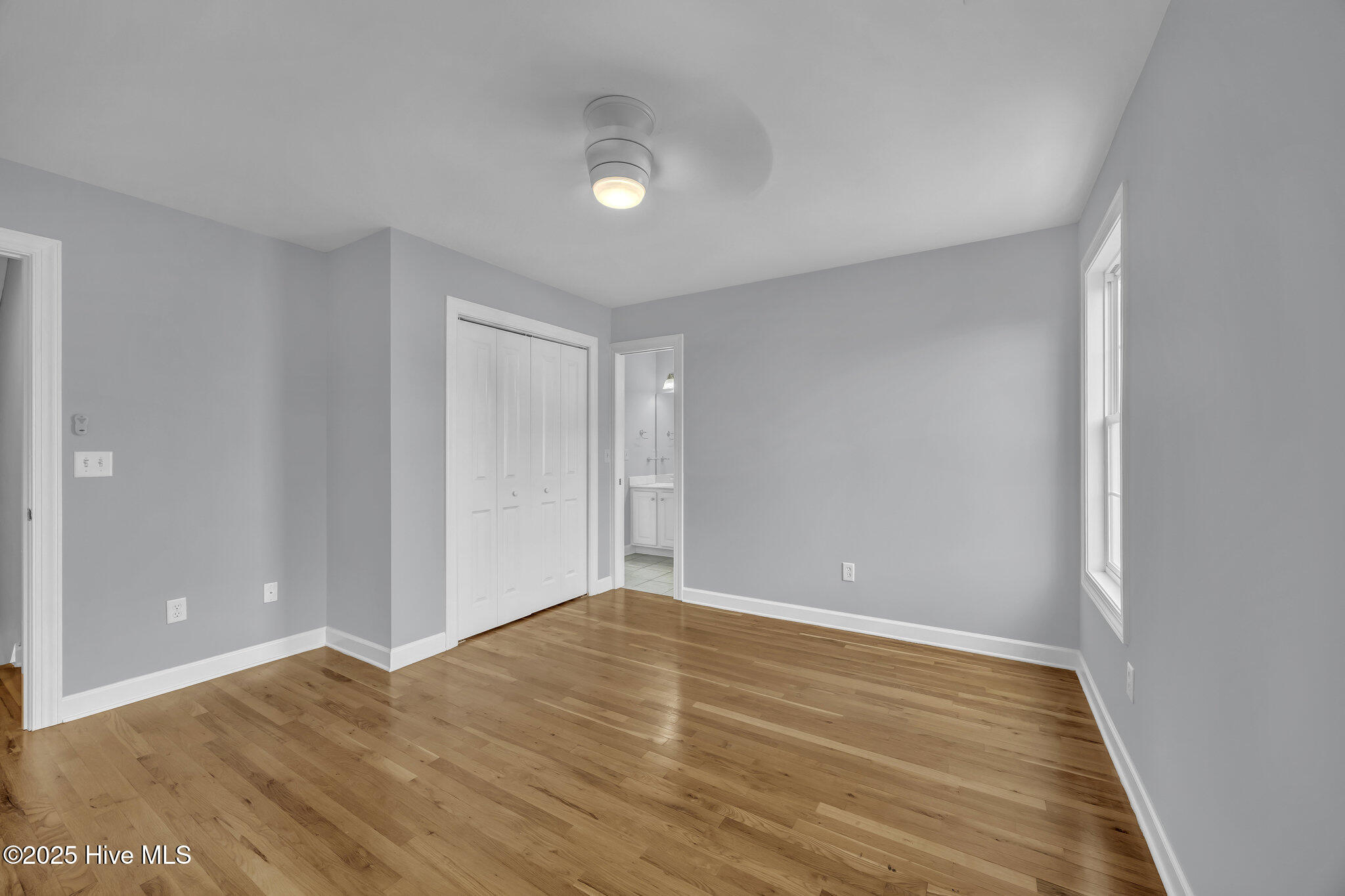 100523371 | Photo 42