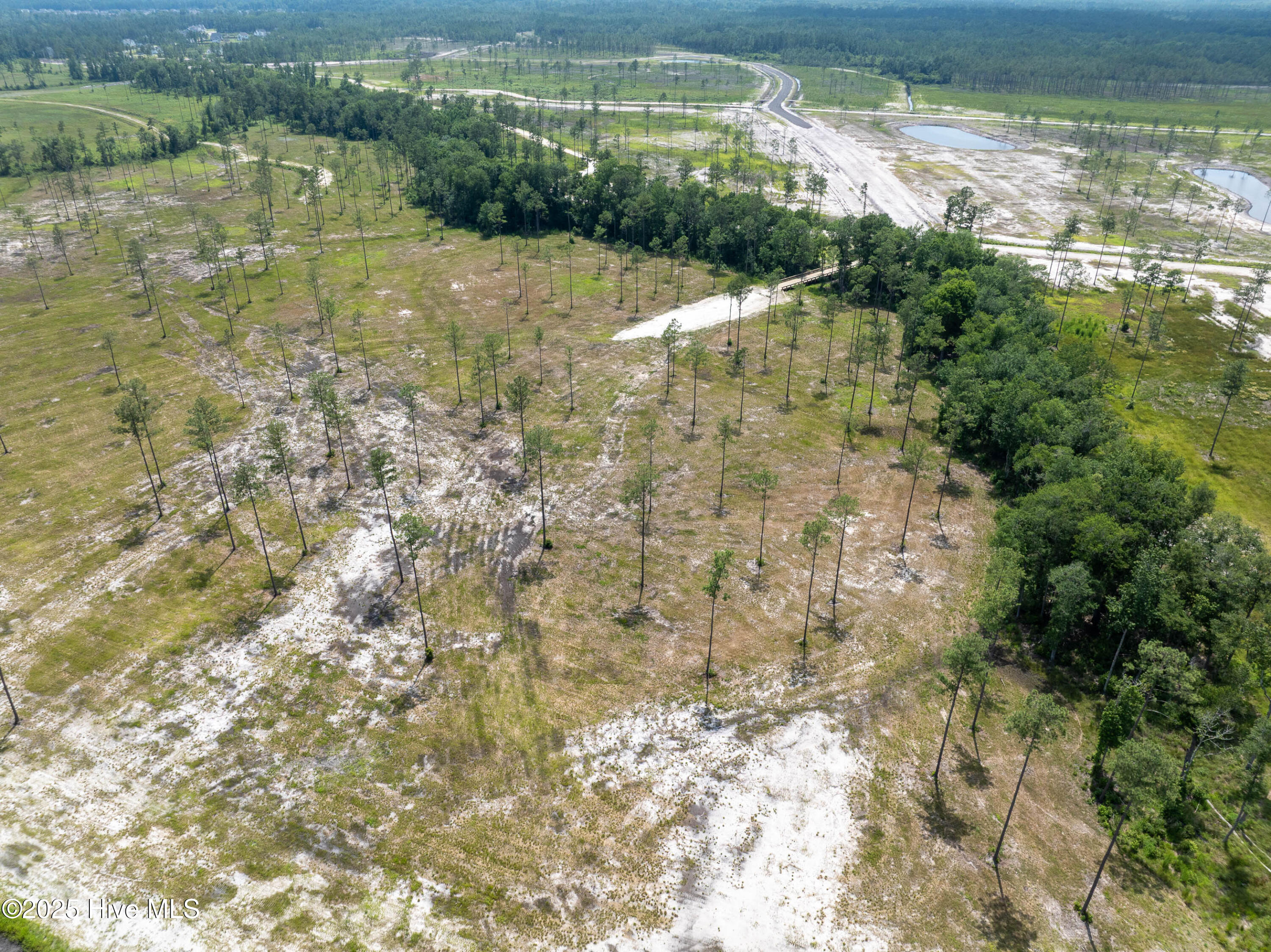 100518901 | Photo 11