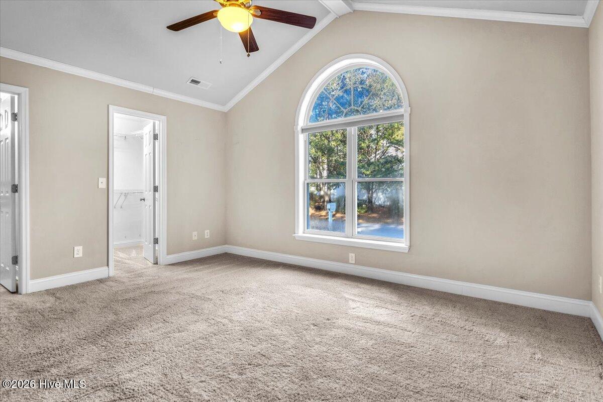 100556413 | Photo 37