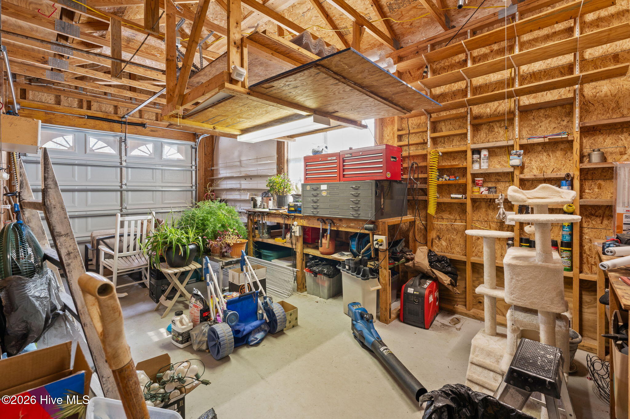 100555983 | Photo 40