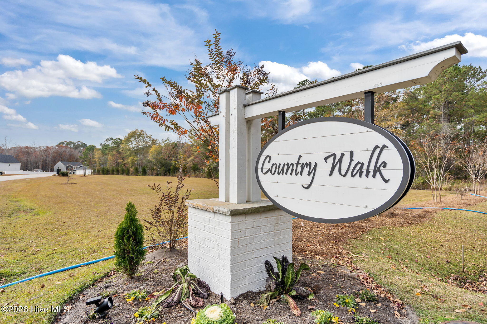 100547545 | Photo 47