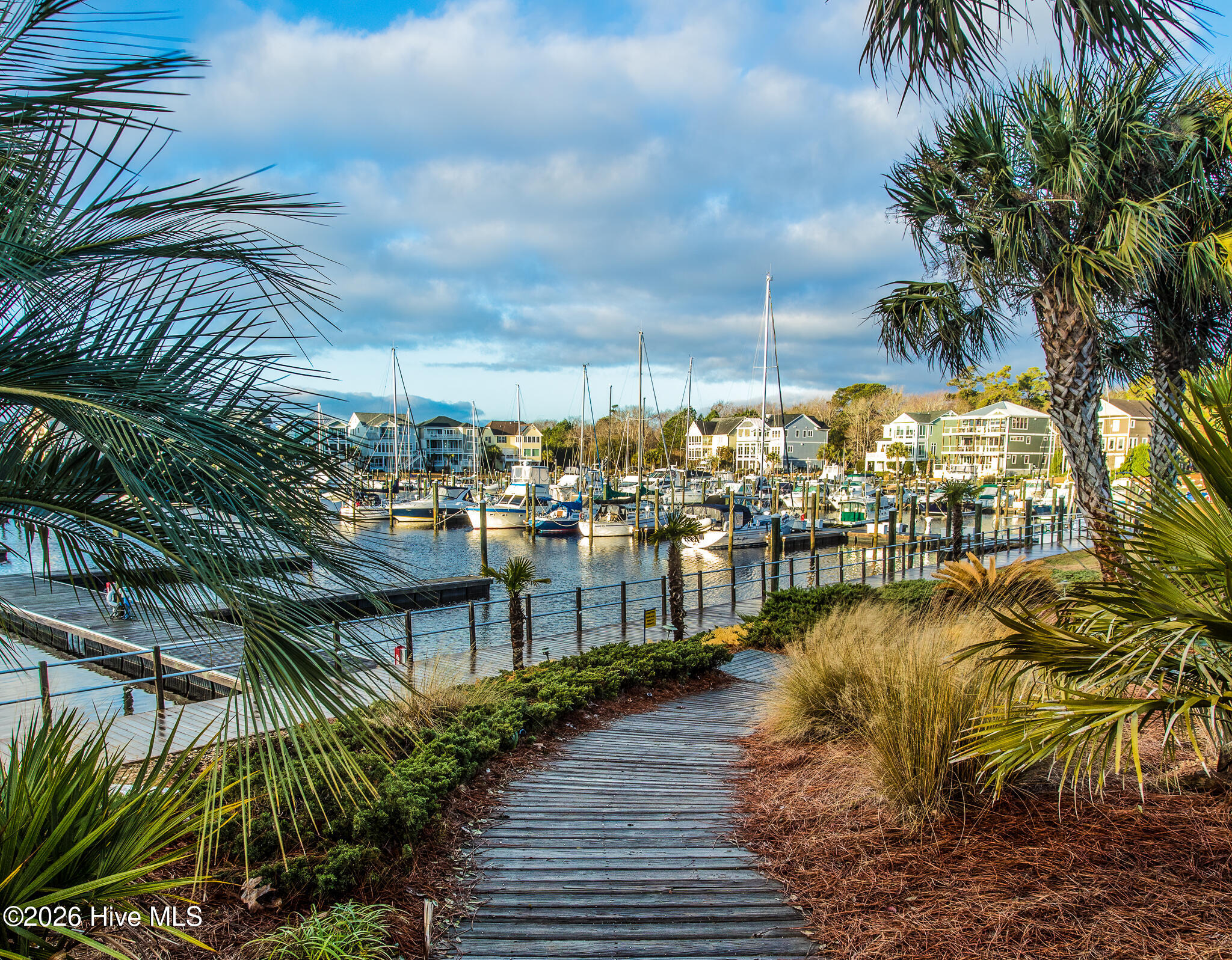 100554560 | Photo 87