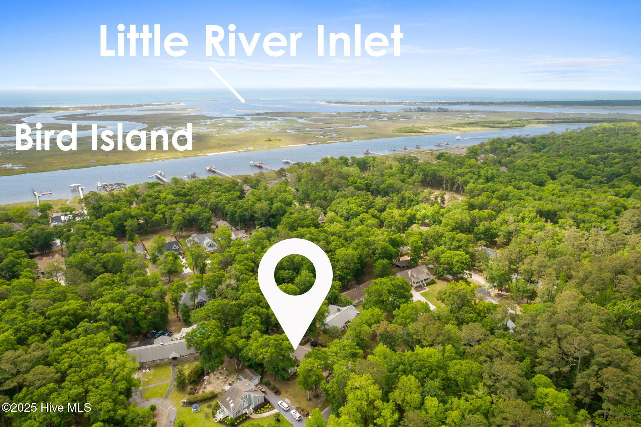 100499822 | Photo 15