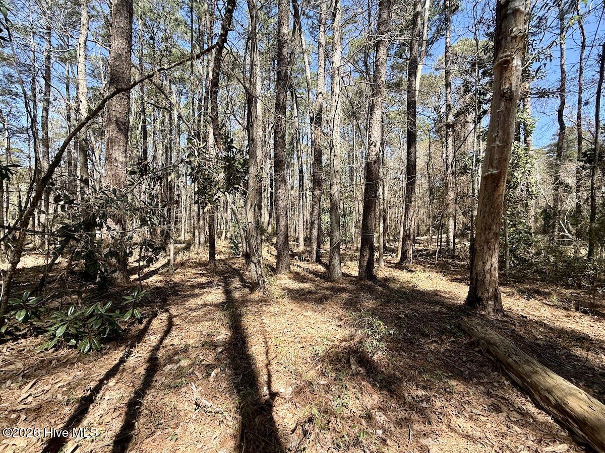 0 Lot 2 Creek Place Road,Arapahoe