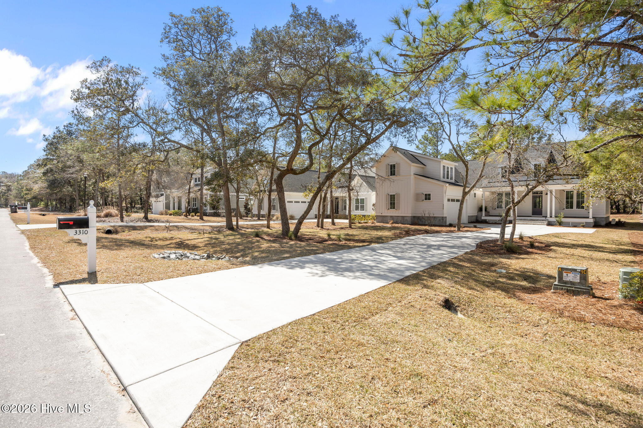 100559098 | Photo 39