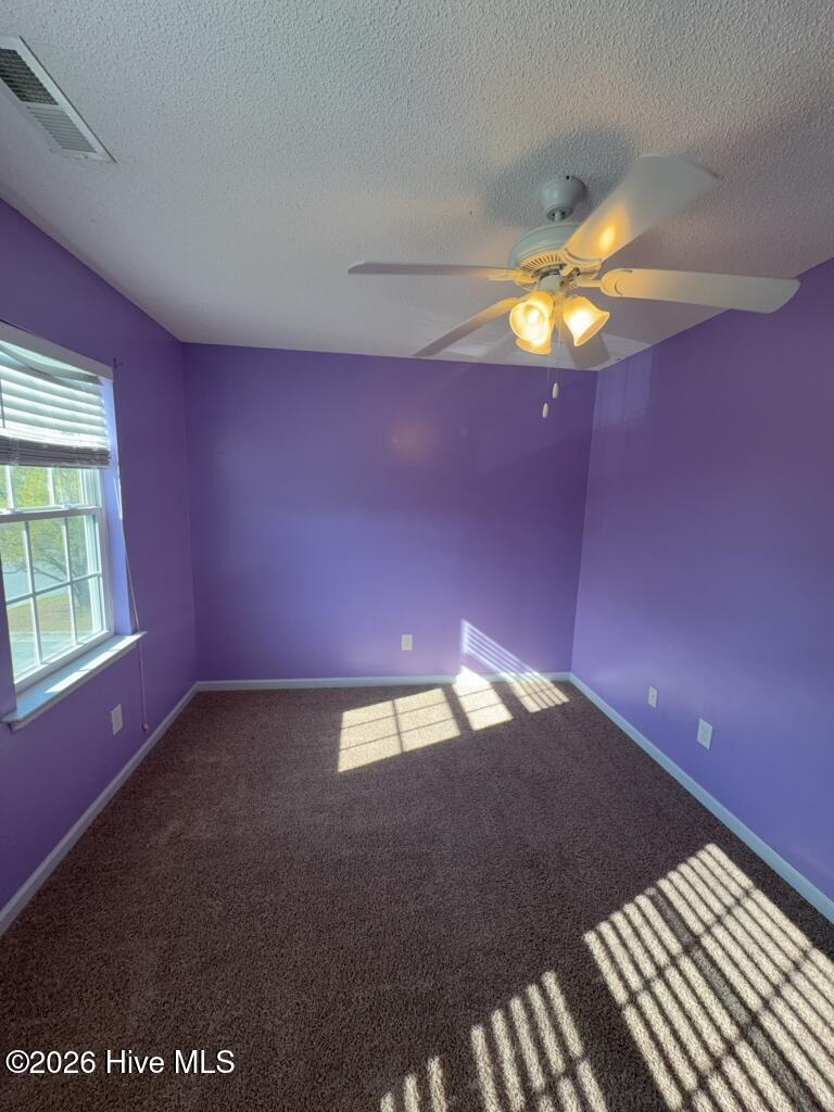 100562826 | Photo 12