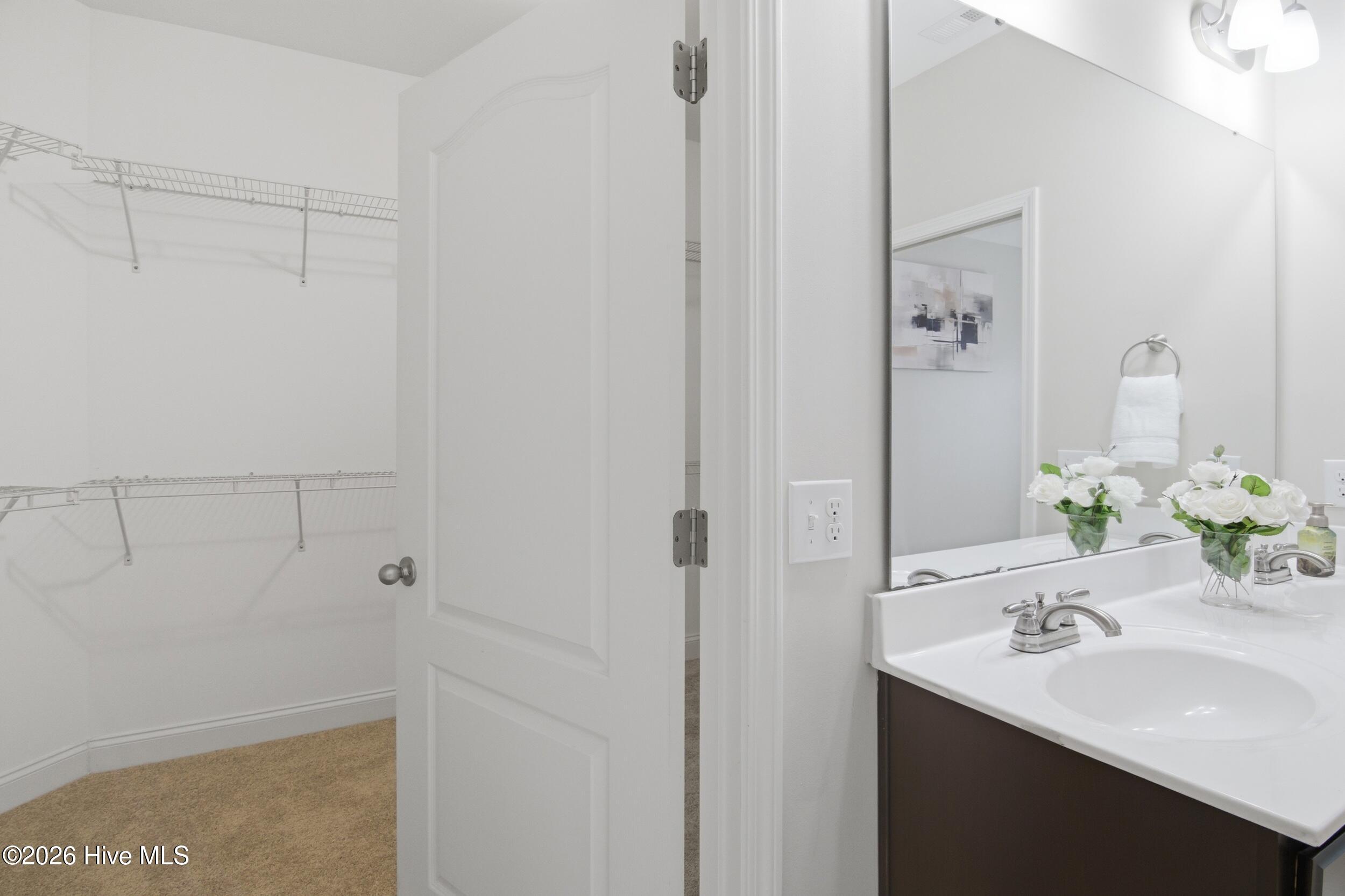 100556252 | Photo 31