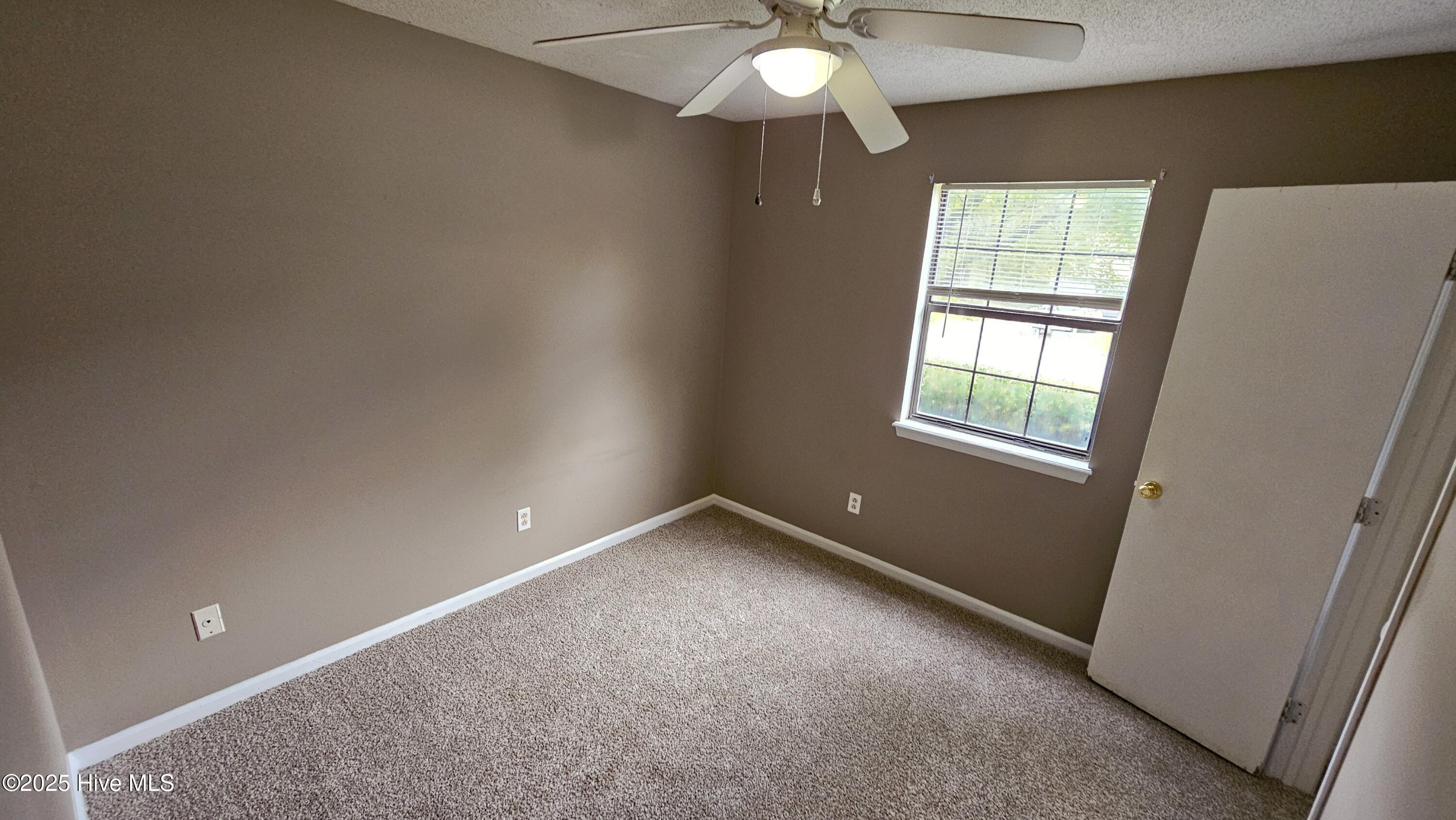 100529154 | Photo 14