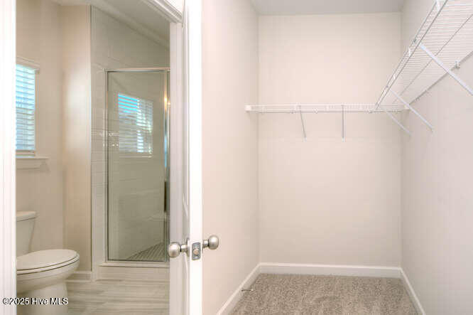 100540645 | Photo 22