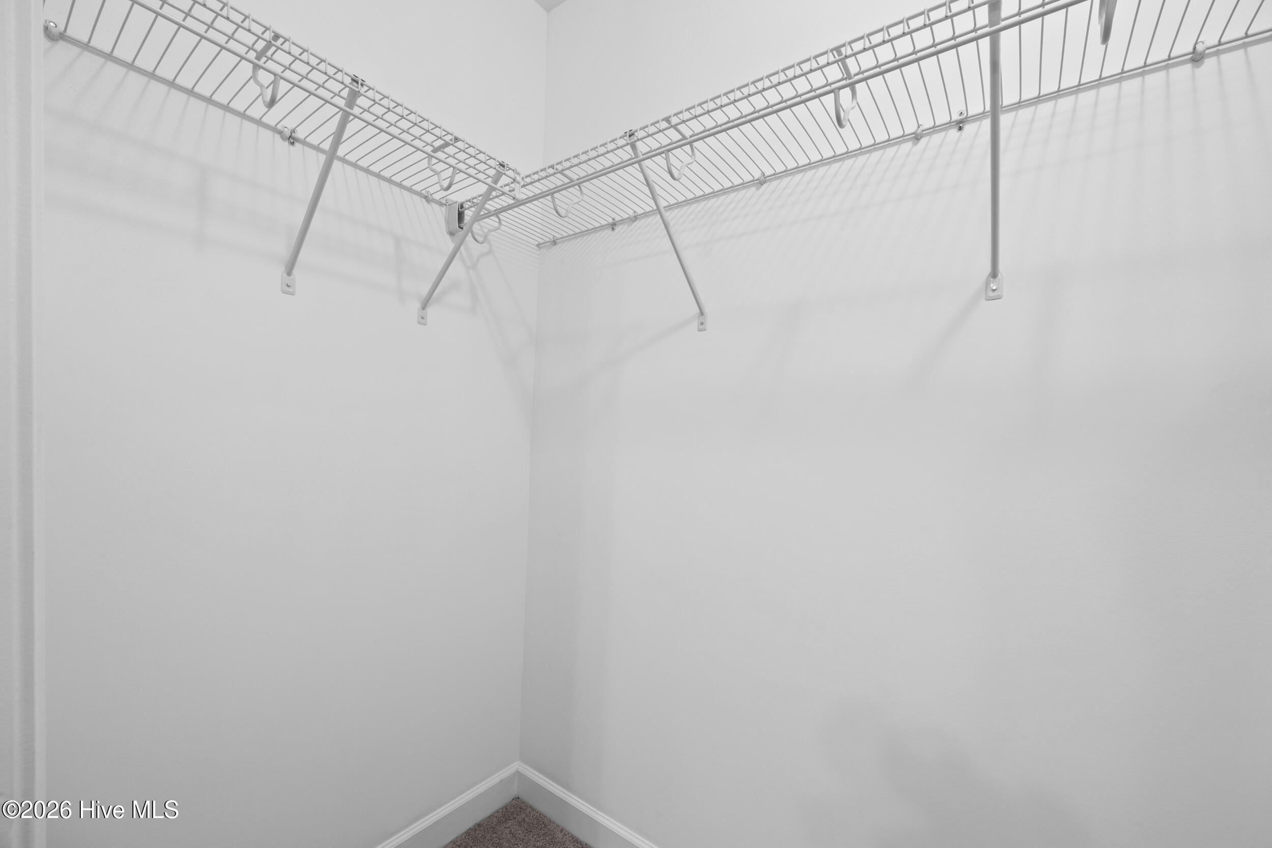 100555457 | Photo 24