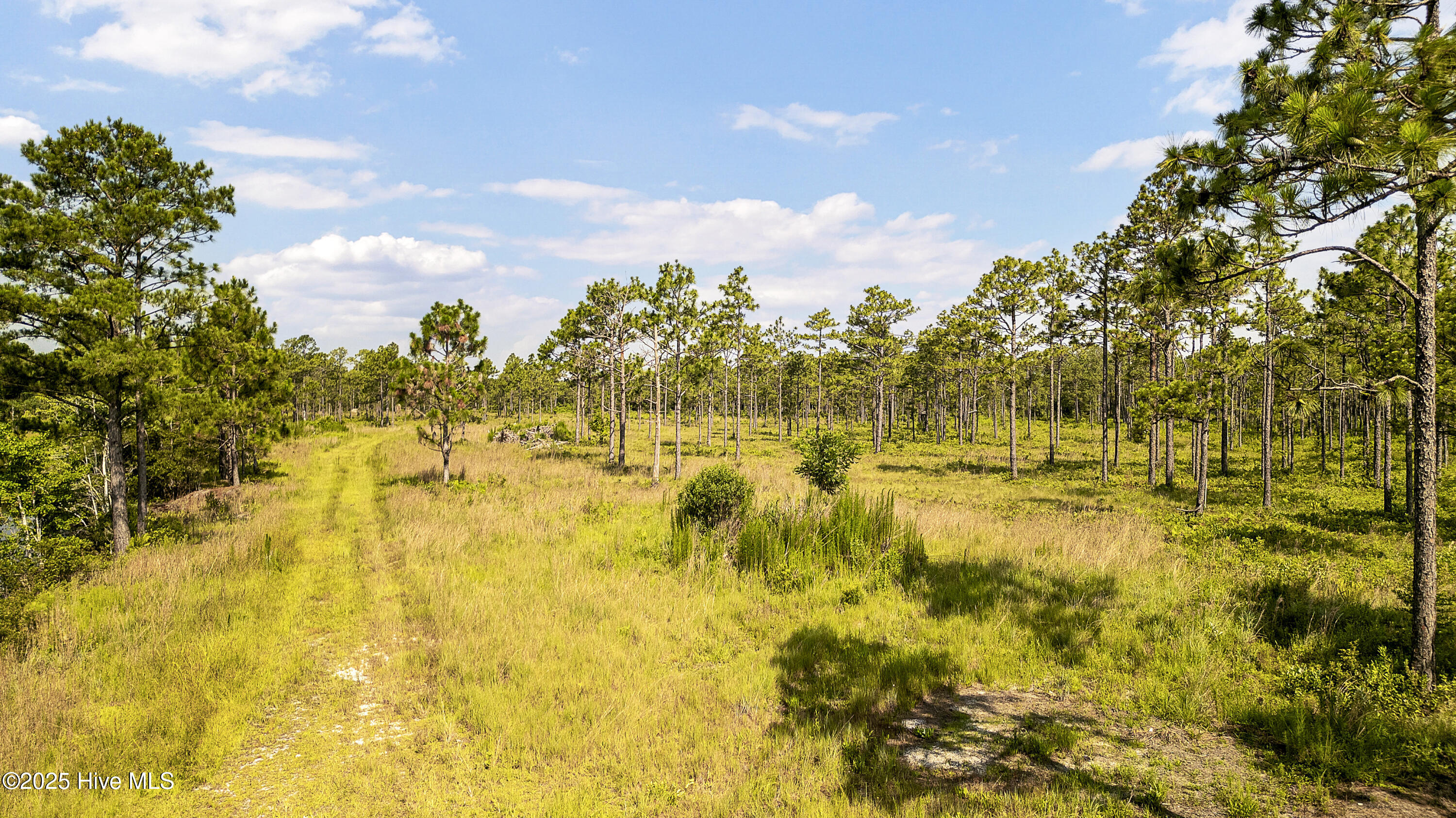 100516516 | Photo 13