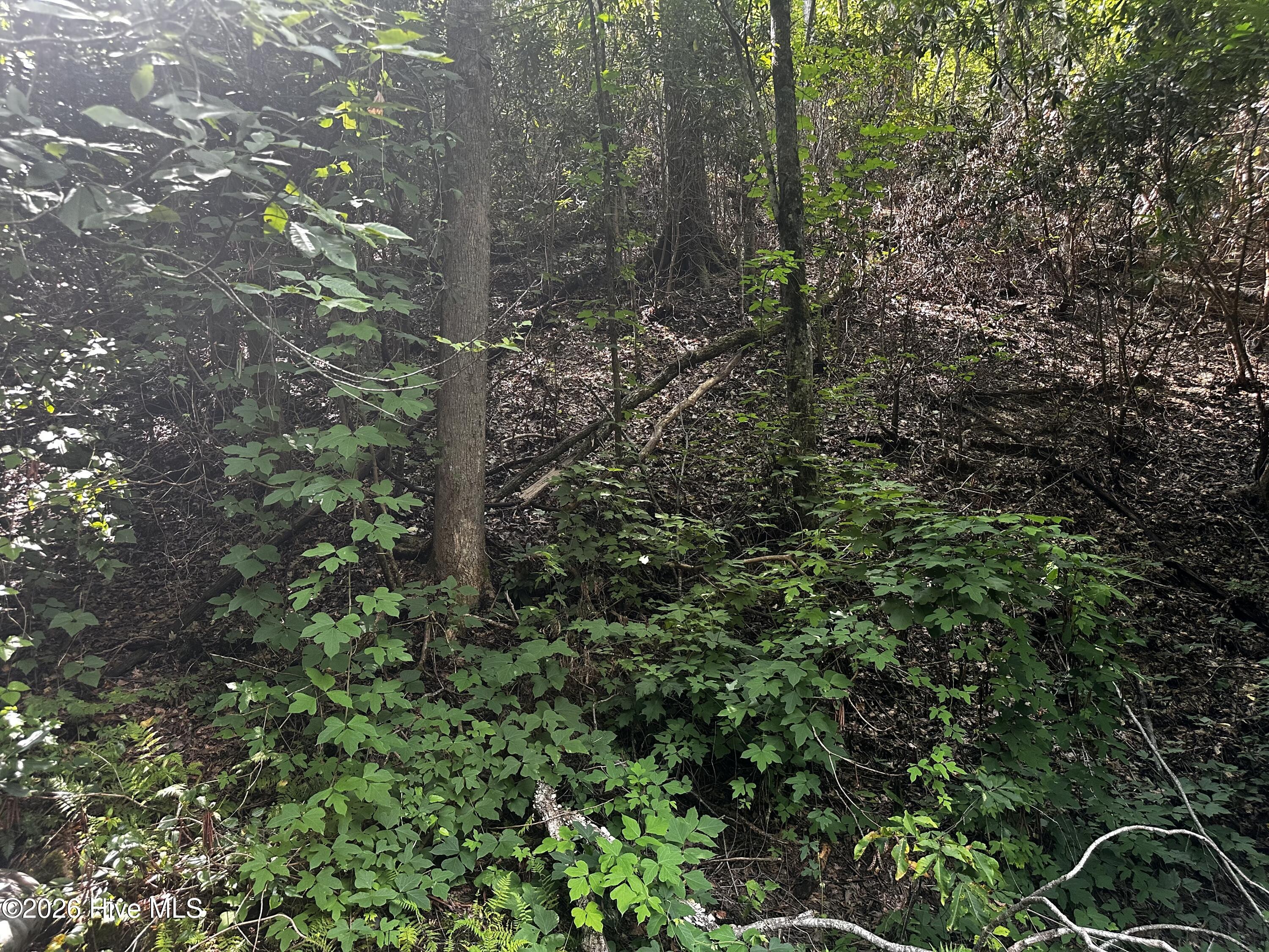 2nd image of 2710 Junaluska Rd, Andrews, NC 28901 | MLS# 100598764