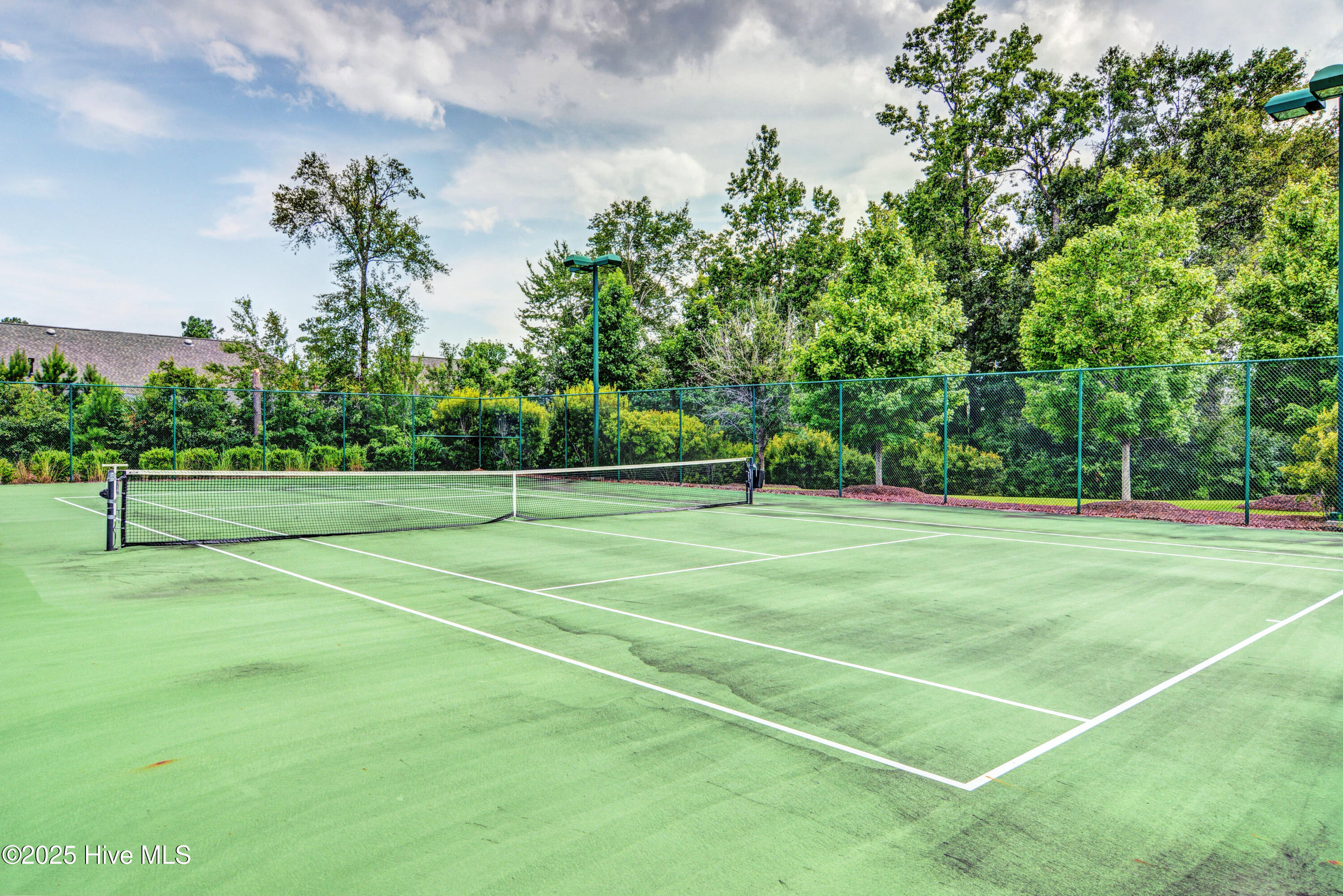 100557399 | Photo 88