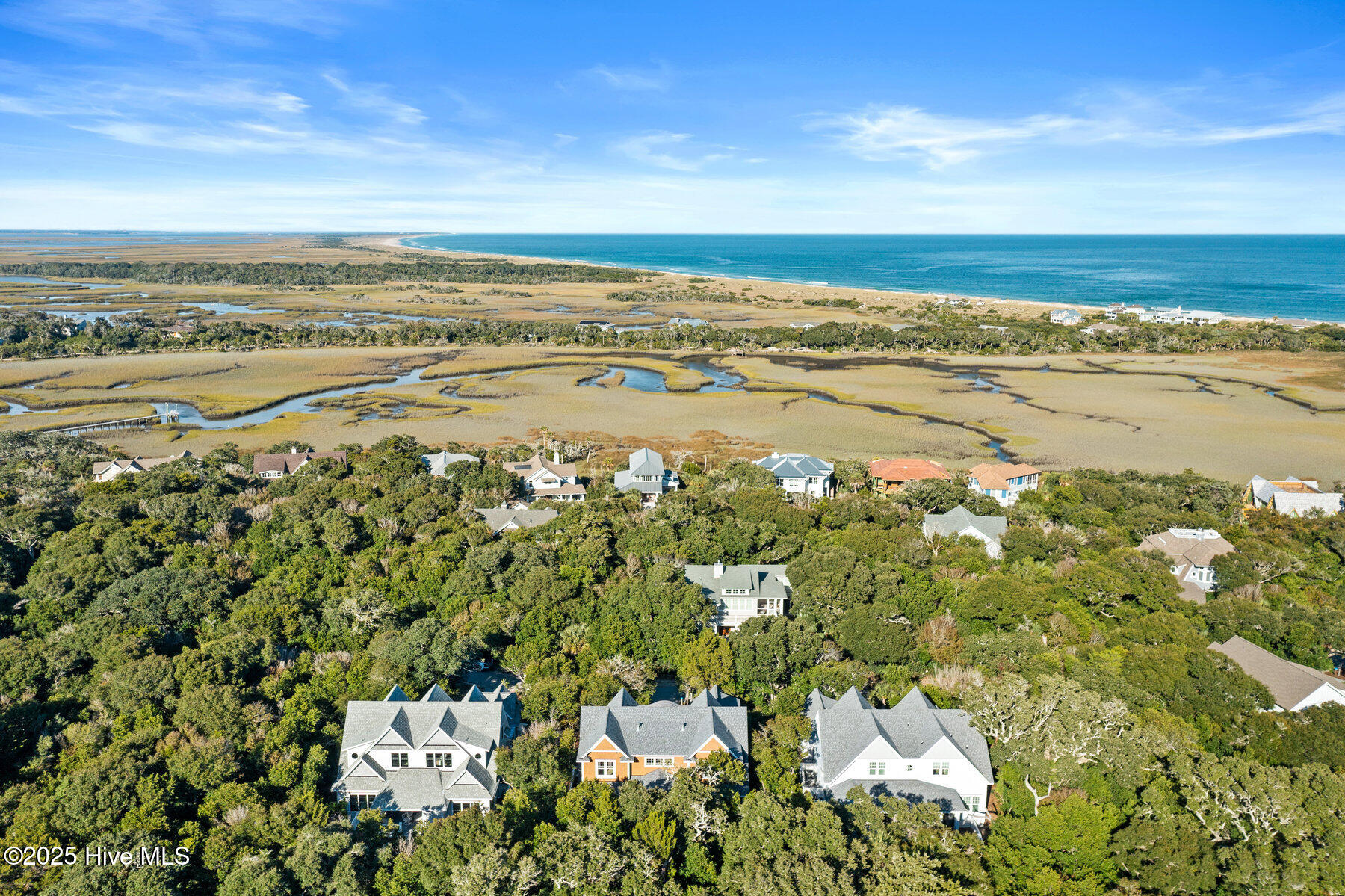 100401243 | Photo 97