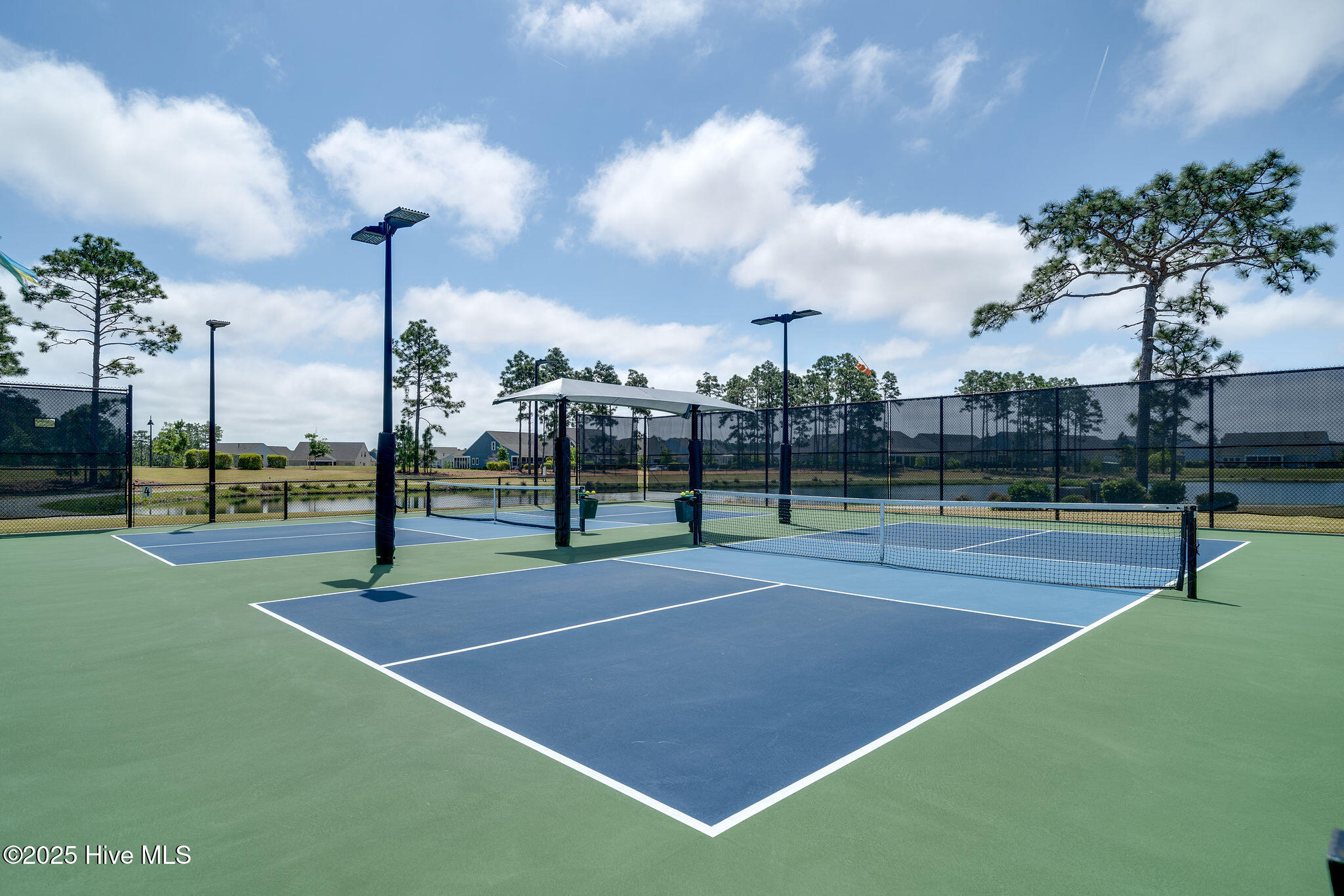 100522757 | Photo 62