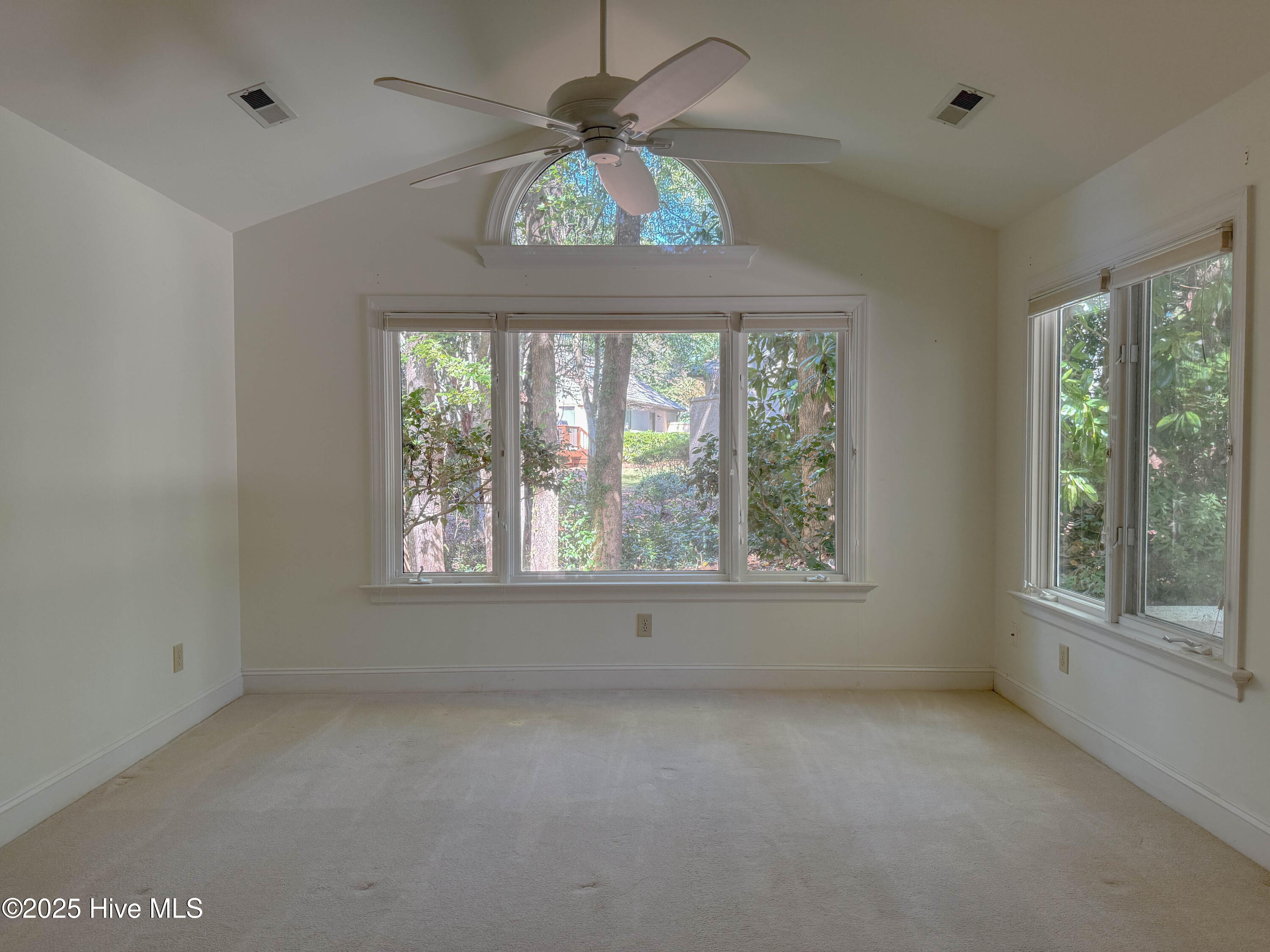 100535071 | Photo 21