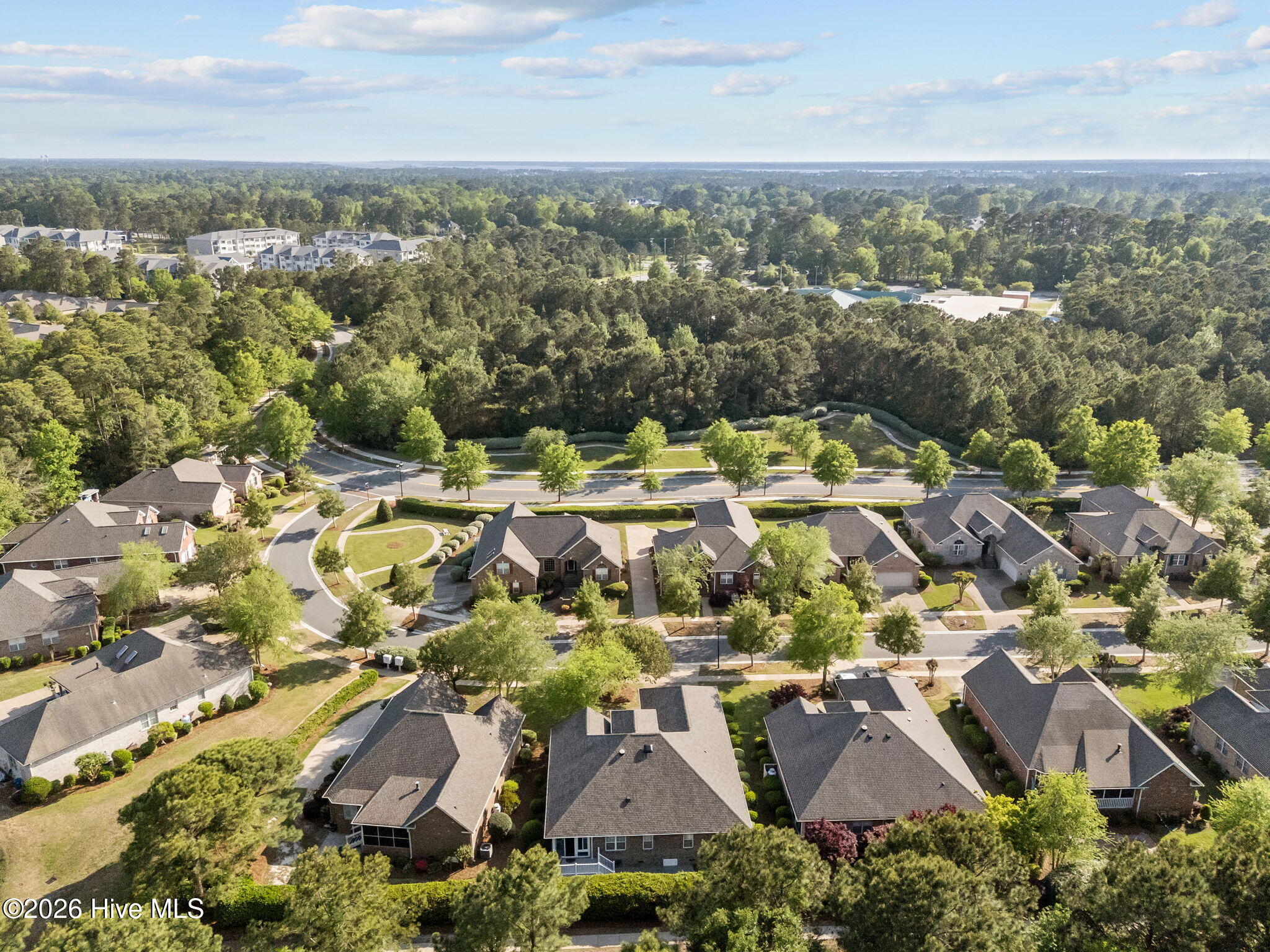 100567034 | Photo 33