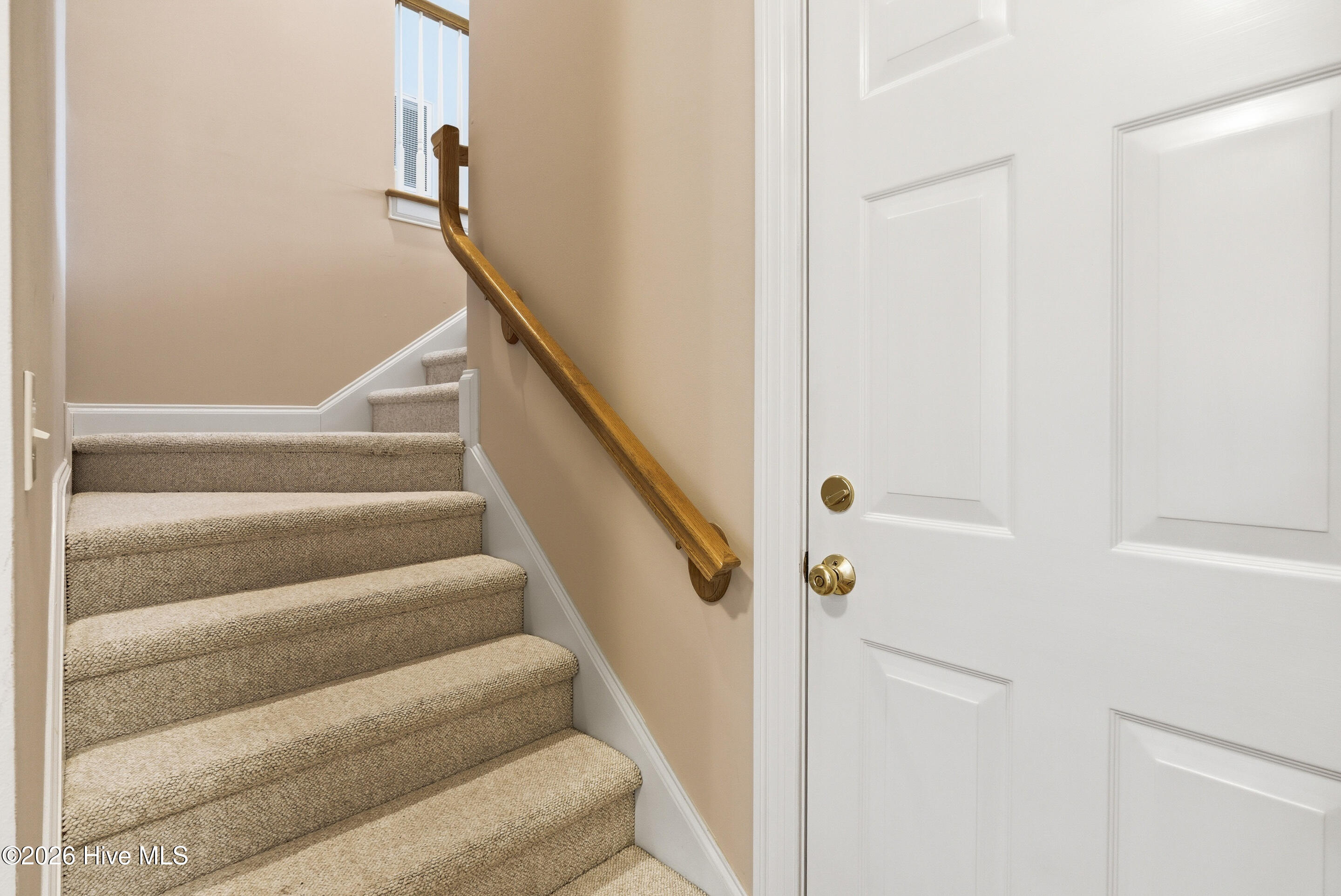 100568595 | Photo 40