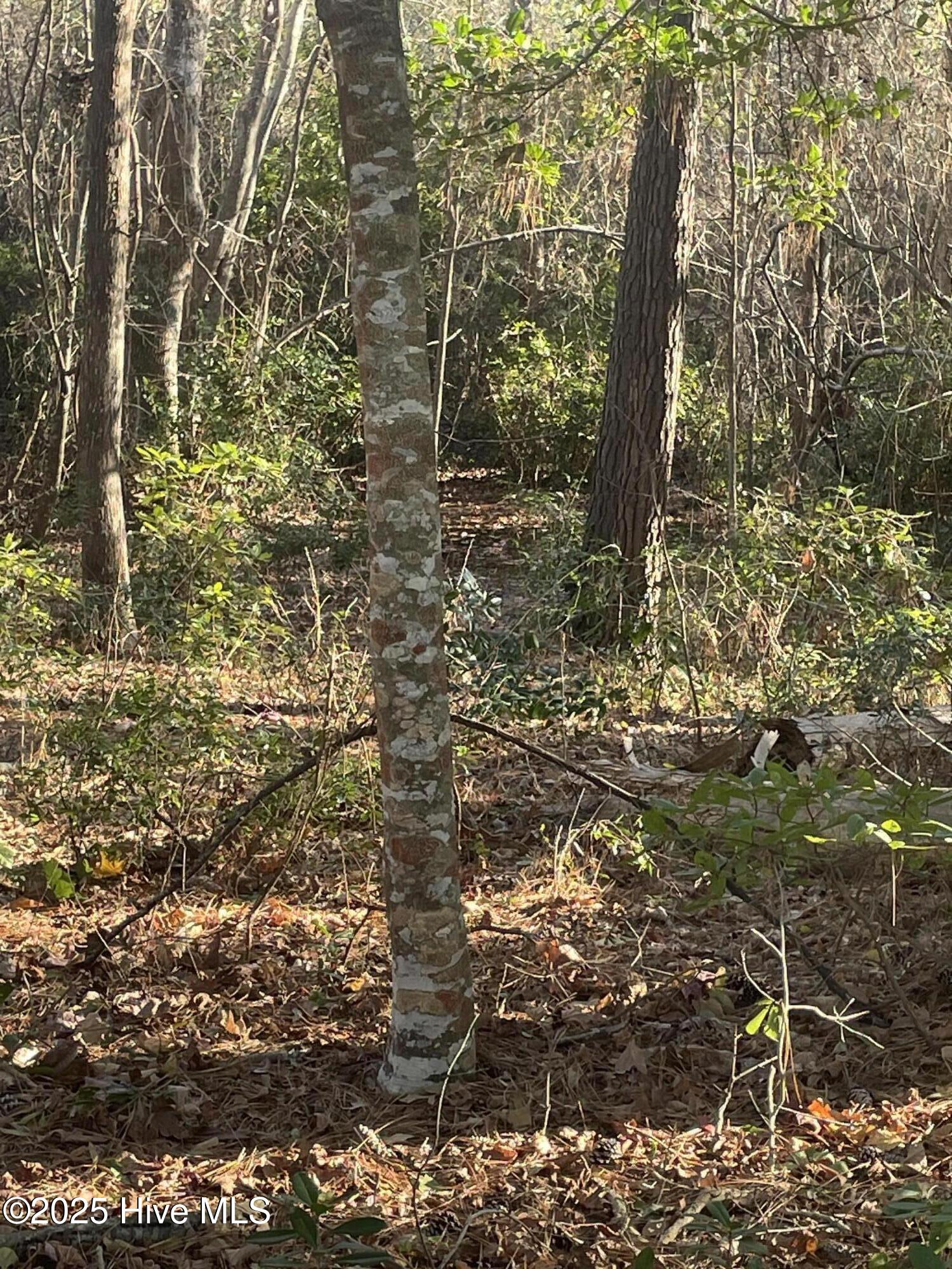 100546046 | Photo 10