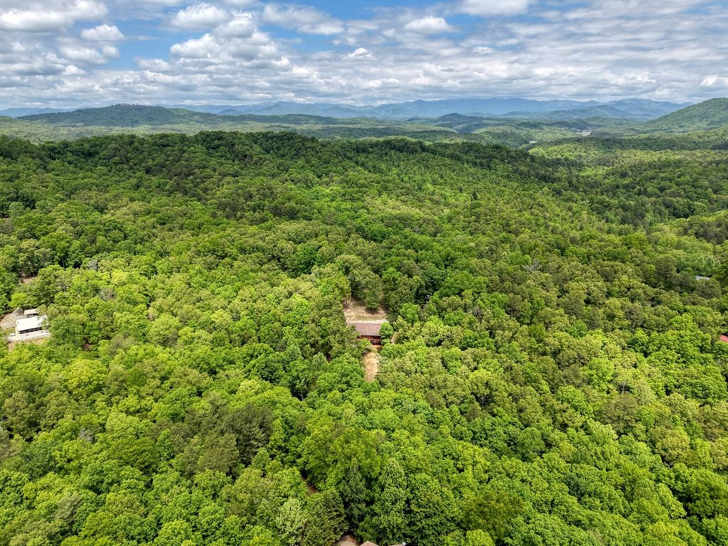277 Clay Durrett Road, Murphy, NC 28906 Listing Photo  78