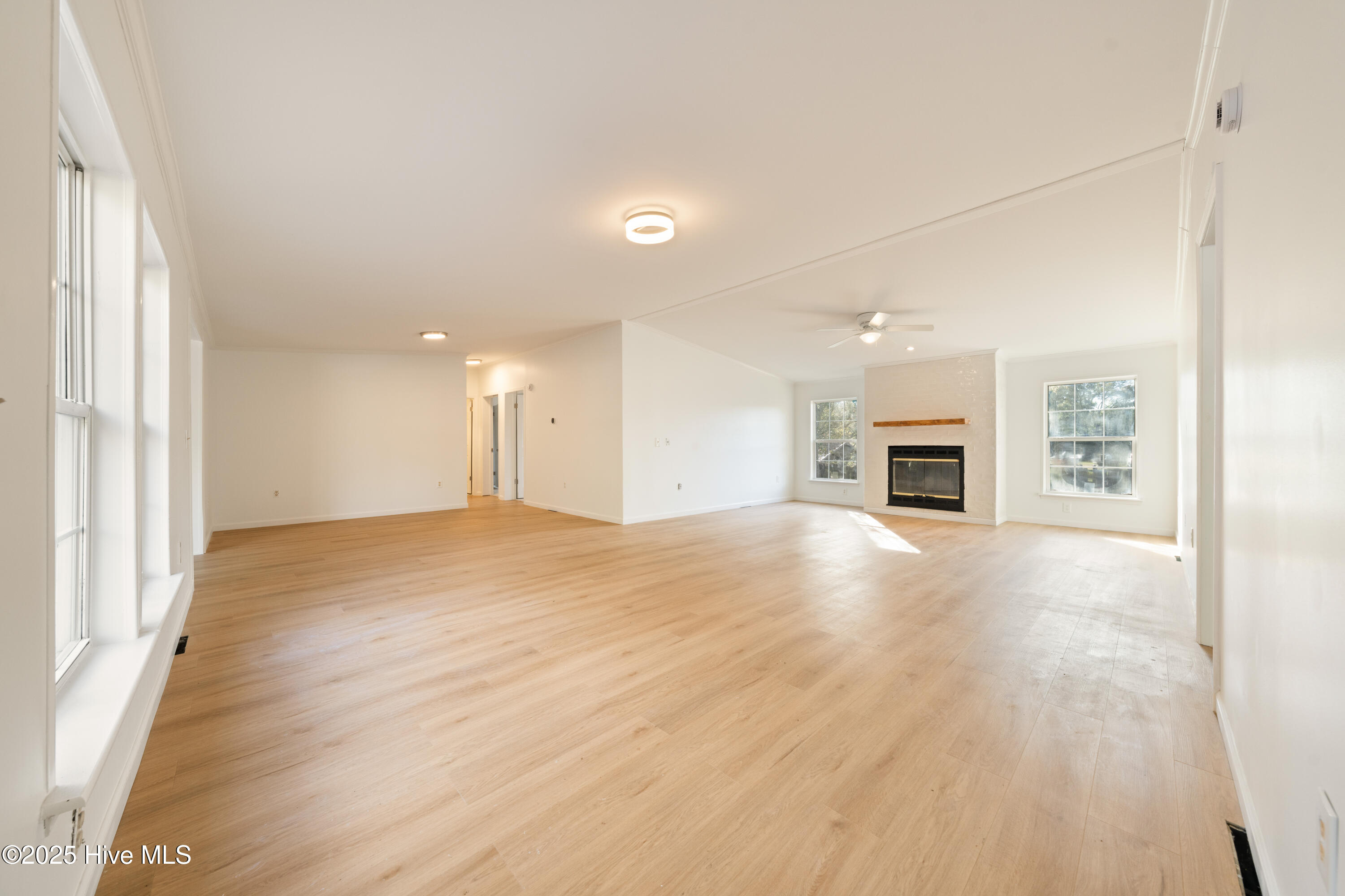 100541471 | Photo 20