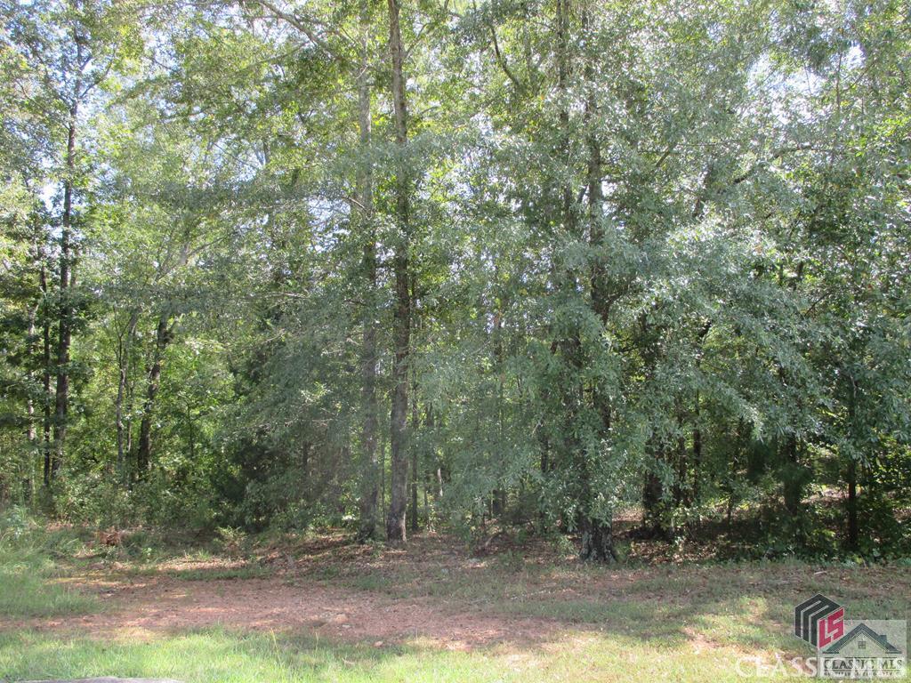 1100 Ryland Hills Drive, Watkinsville, GA, 30677