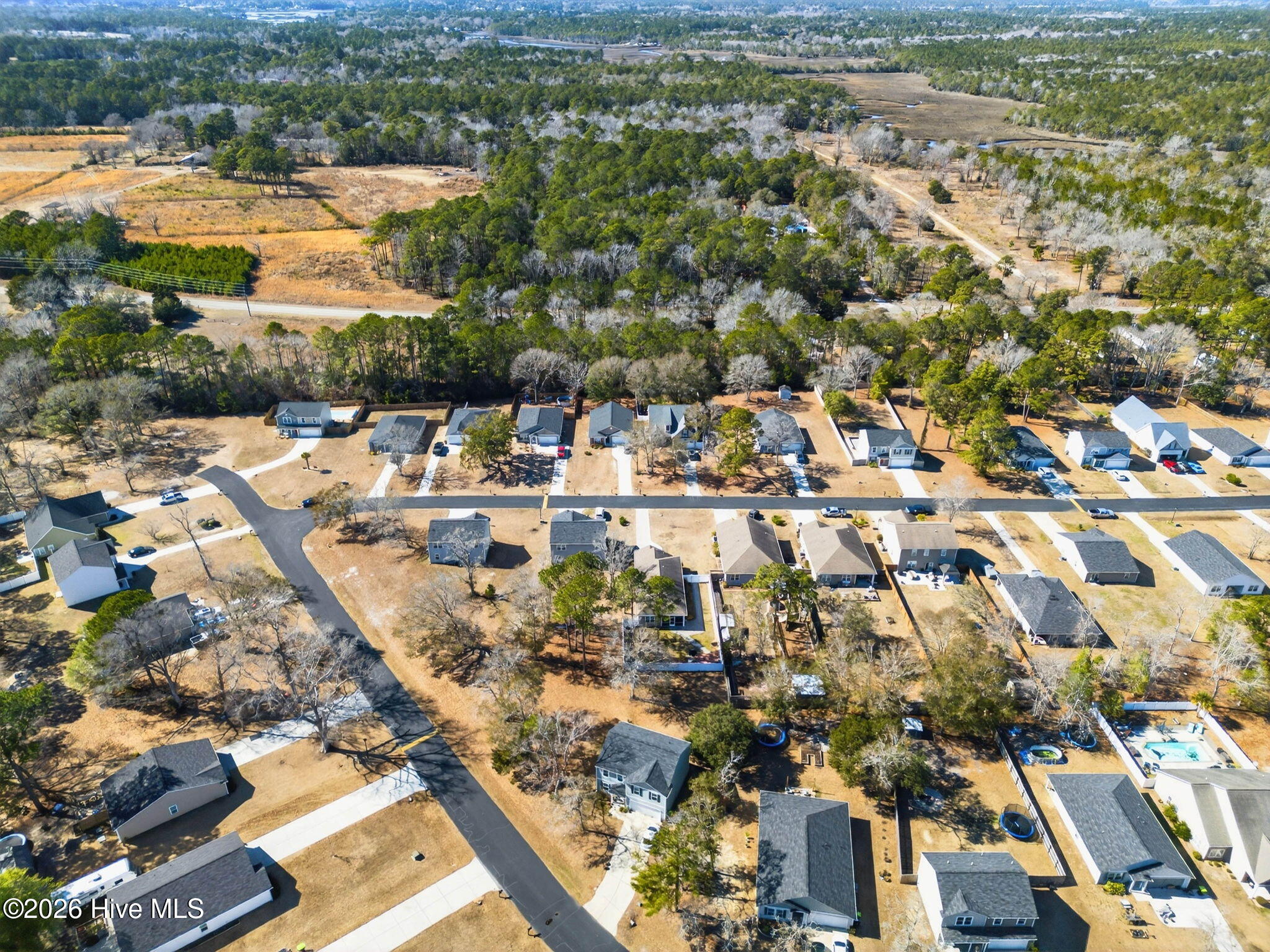 100555390 | Photo 36