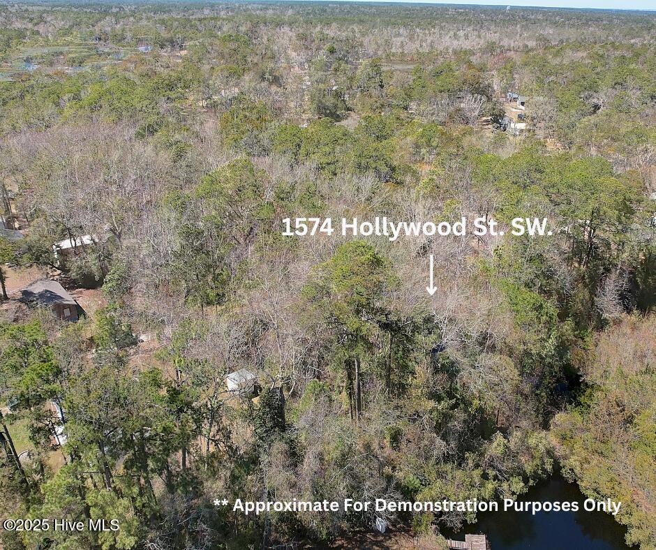 100543112 | Photo 16