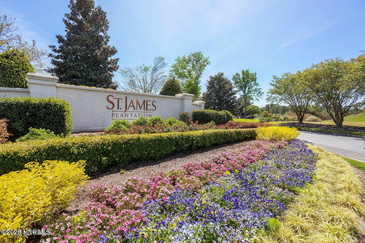 100561885 | Photo 101