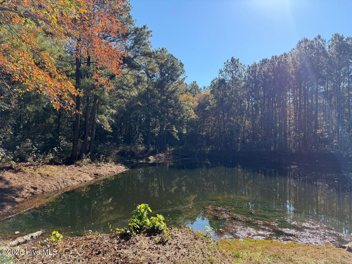 100540348 | Photo 38