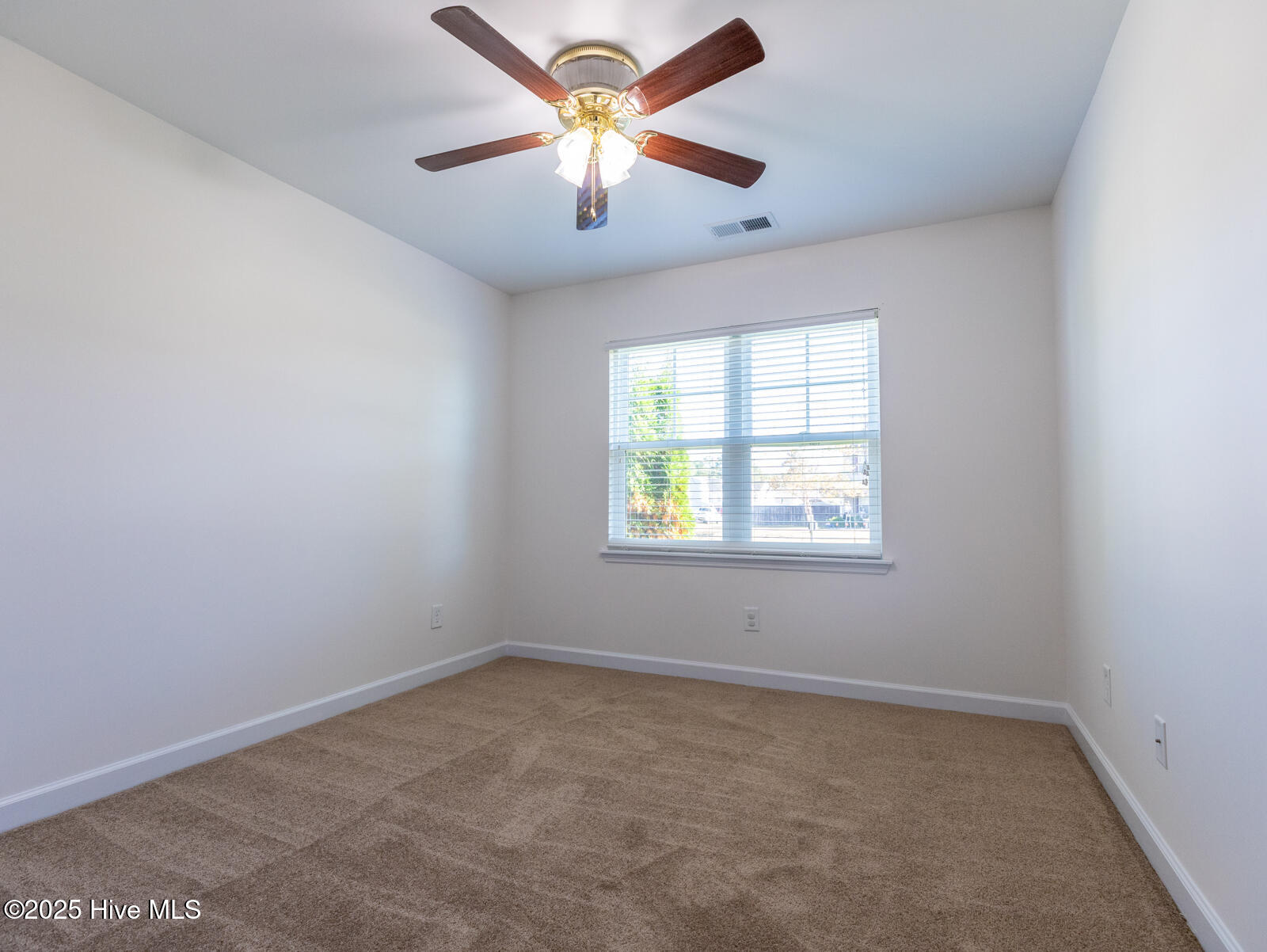 100539425 | Photo 24