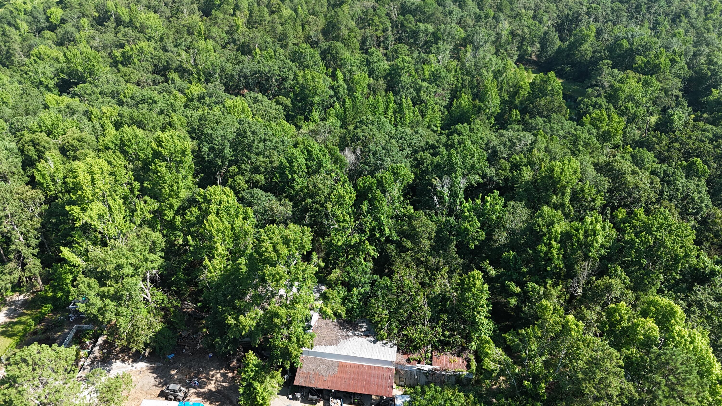 2039 Mcdade Farm Road, Hephzibah, GA, 30815