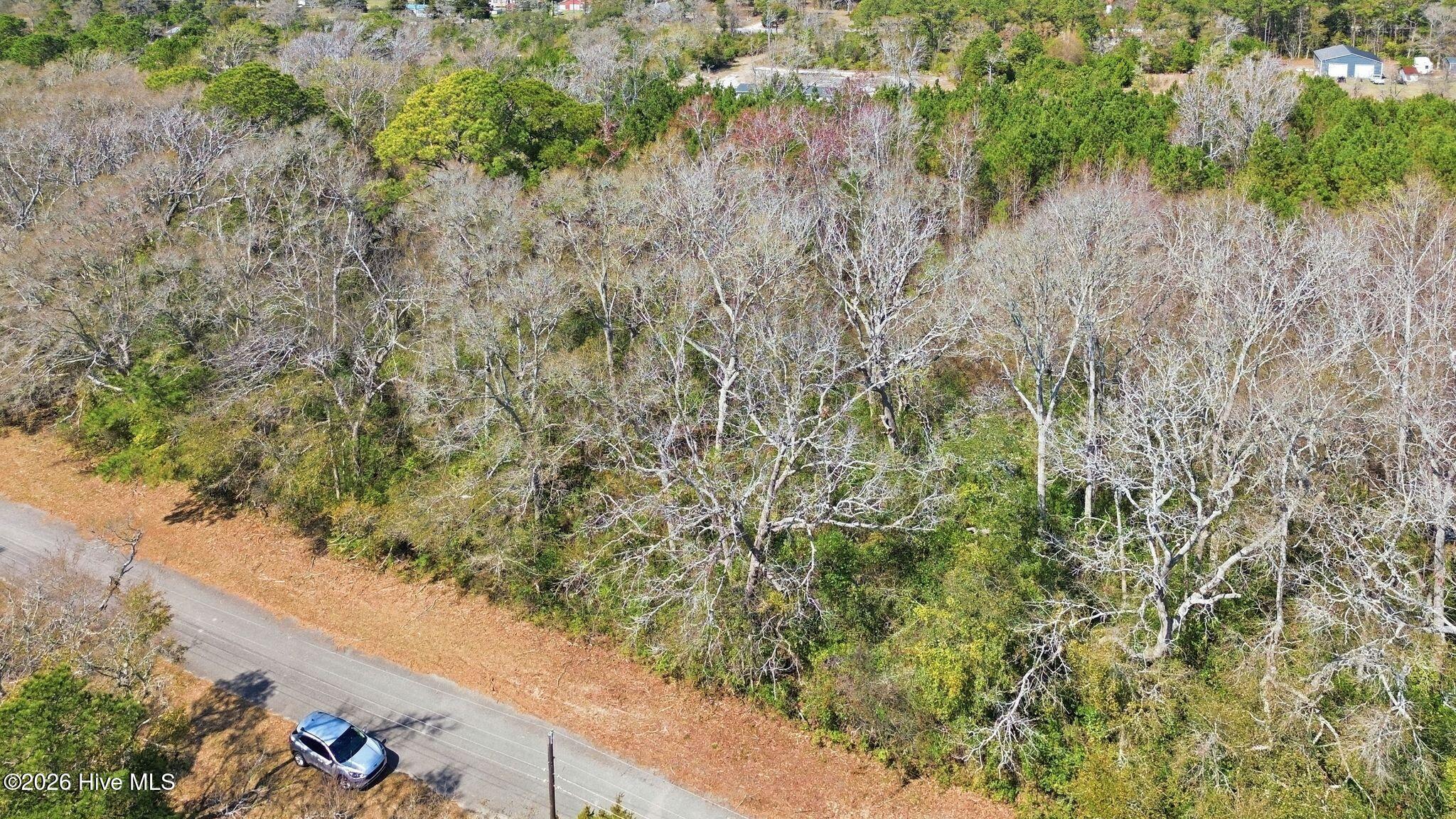 100560121 | Photo 21