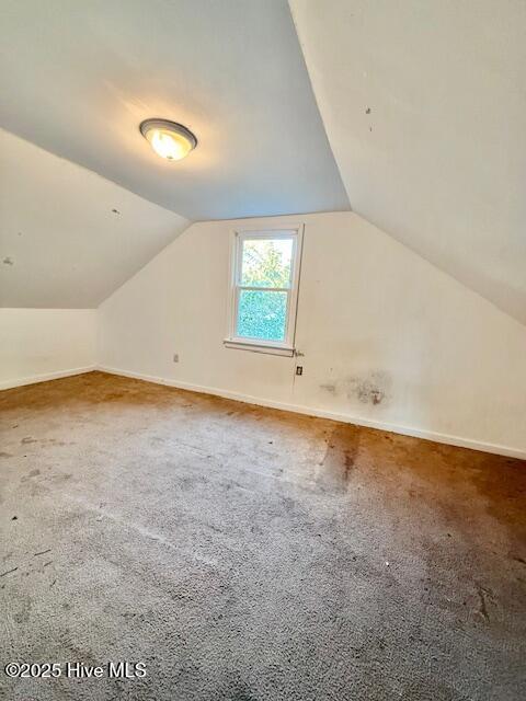 100542473 | Photo 36