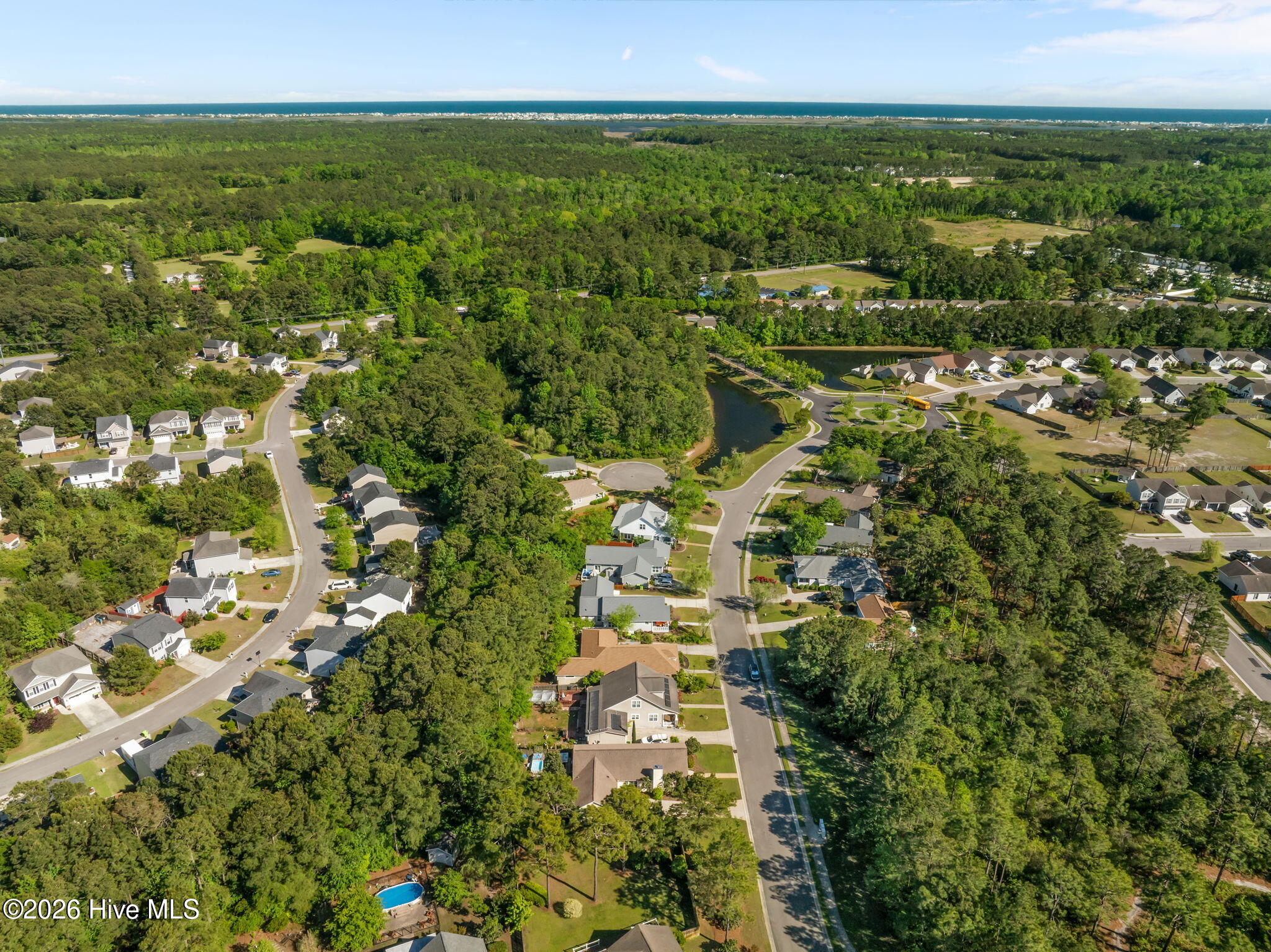 100569497 | Photo 43