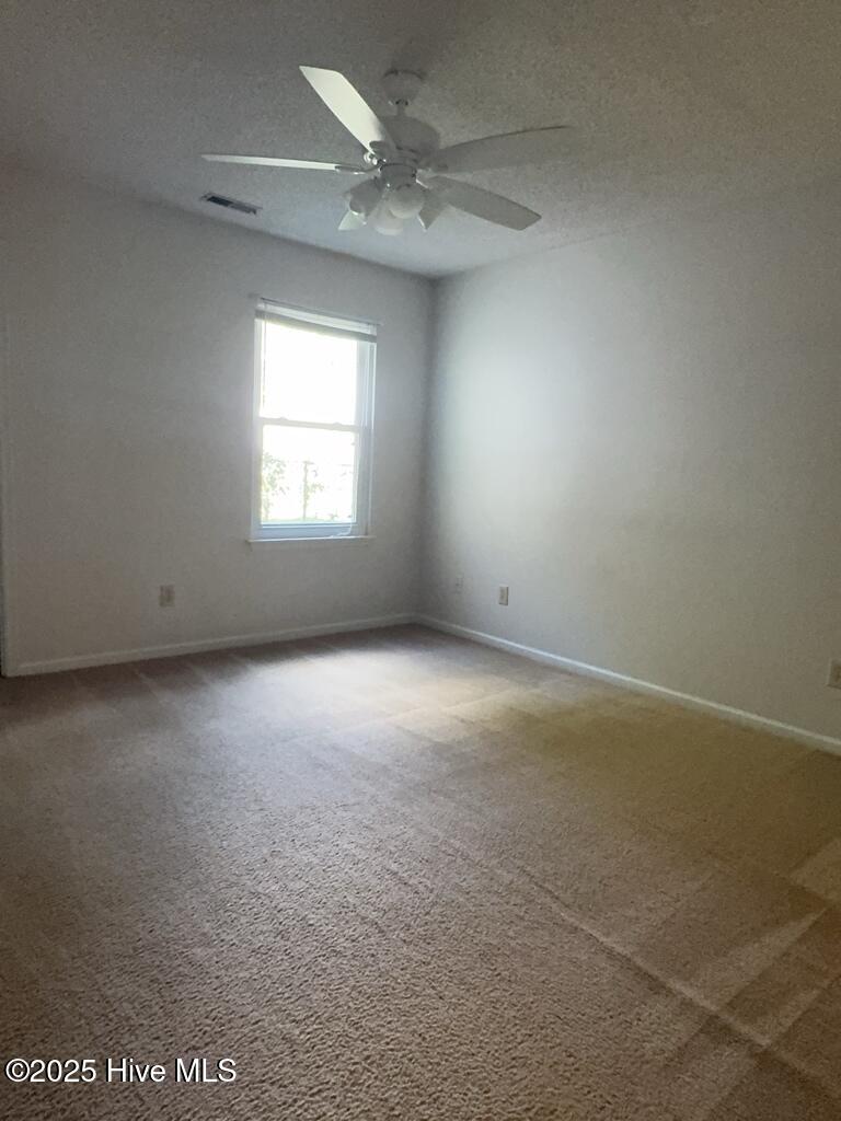 100534666 | Photo 11