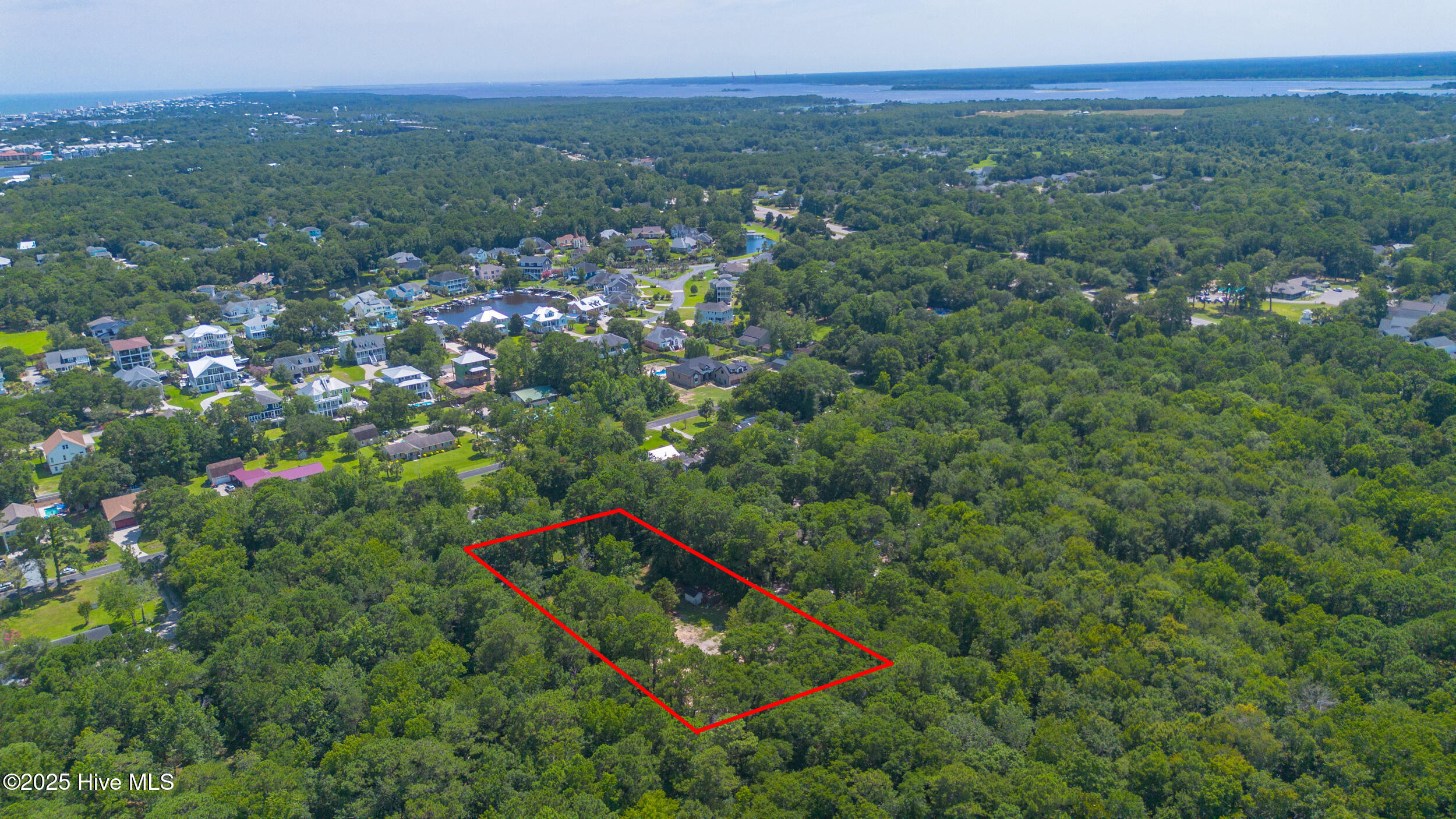 100518046 | Photo 11